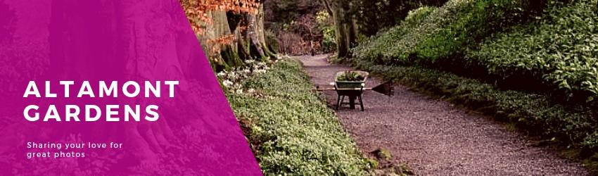 Altamont Gardens snowdrop week 2019 - Rathwood Store