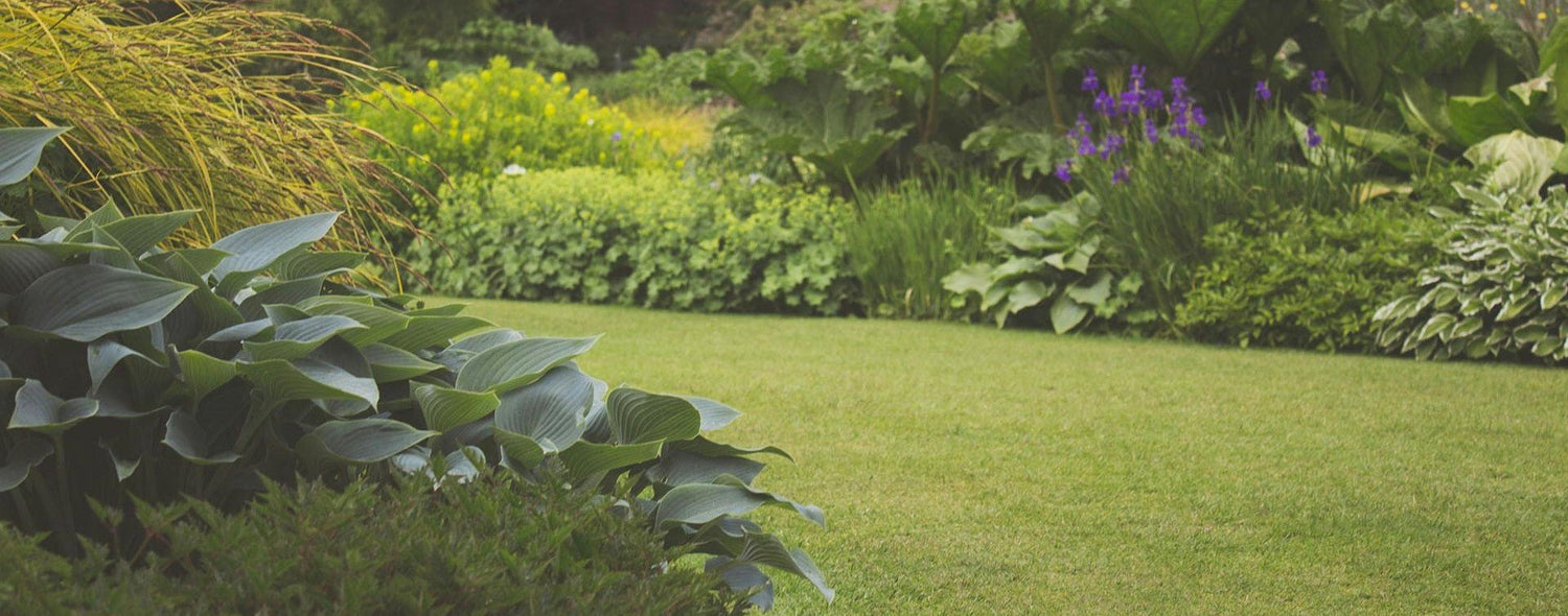 Bali Range - Rathwood Store