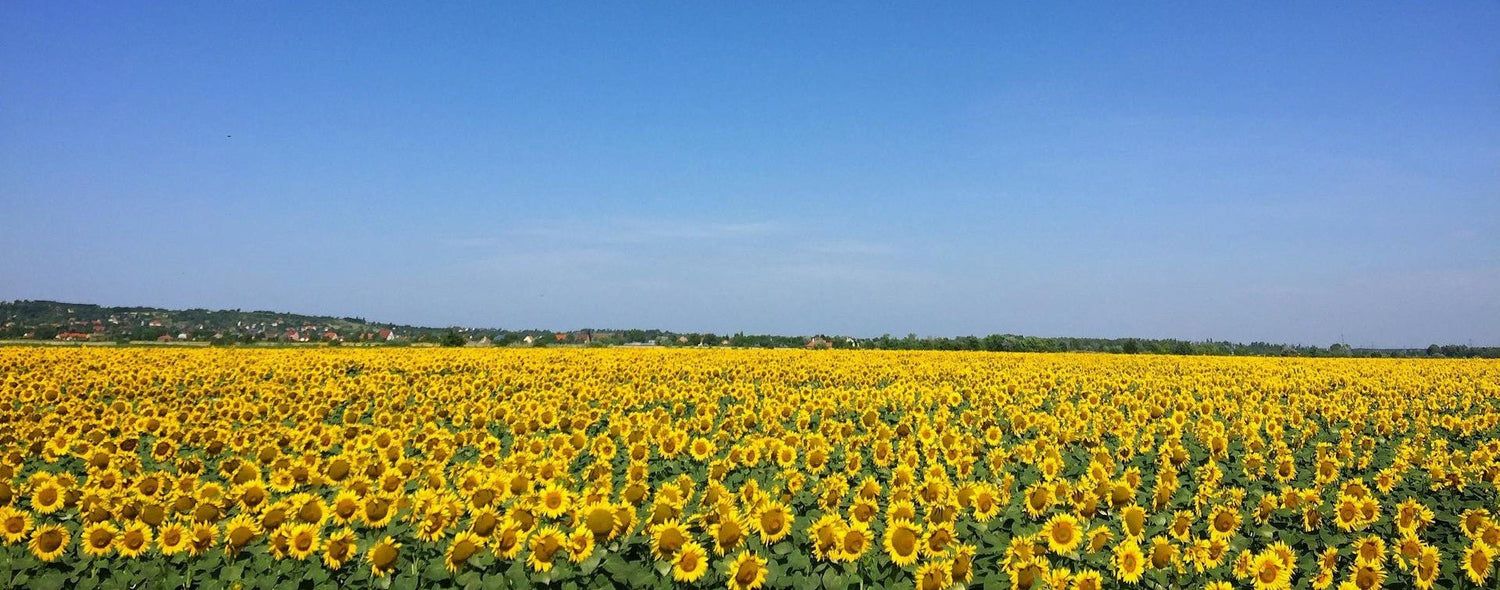 Sepino Range - Rathwood Store