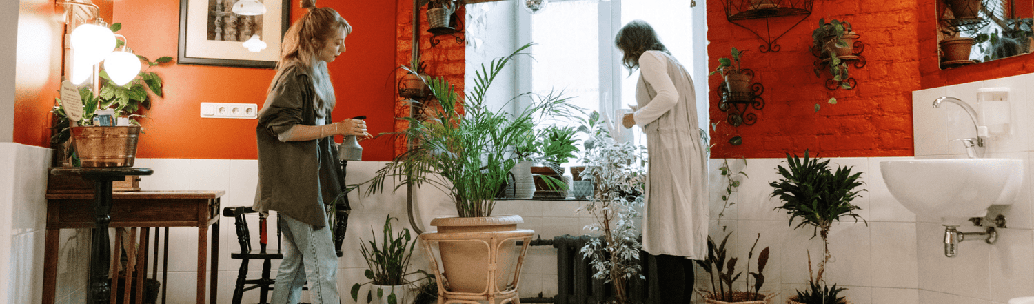 Urban Gardening - Rathwood Store