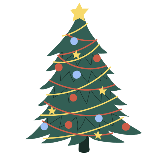 12-15ft Christmas Trees - Rathwood Store