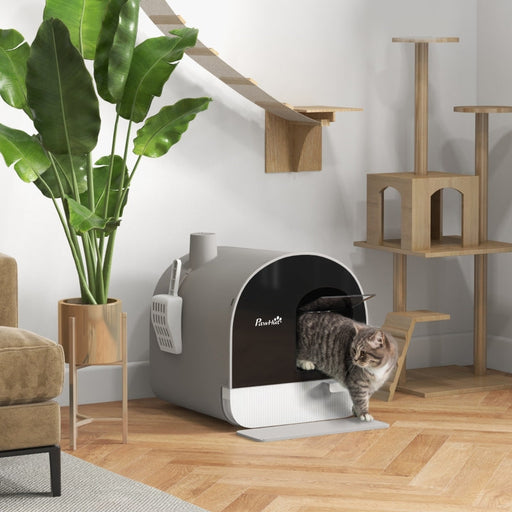 Cat Litter