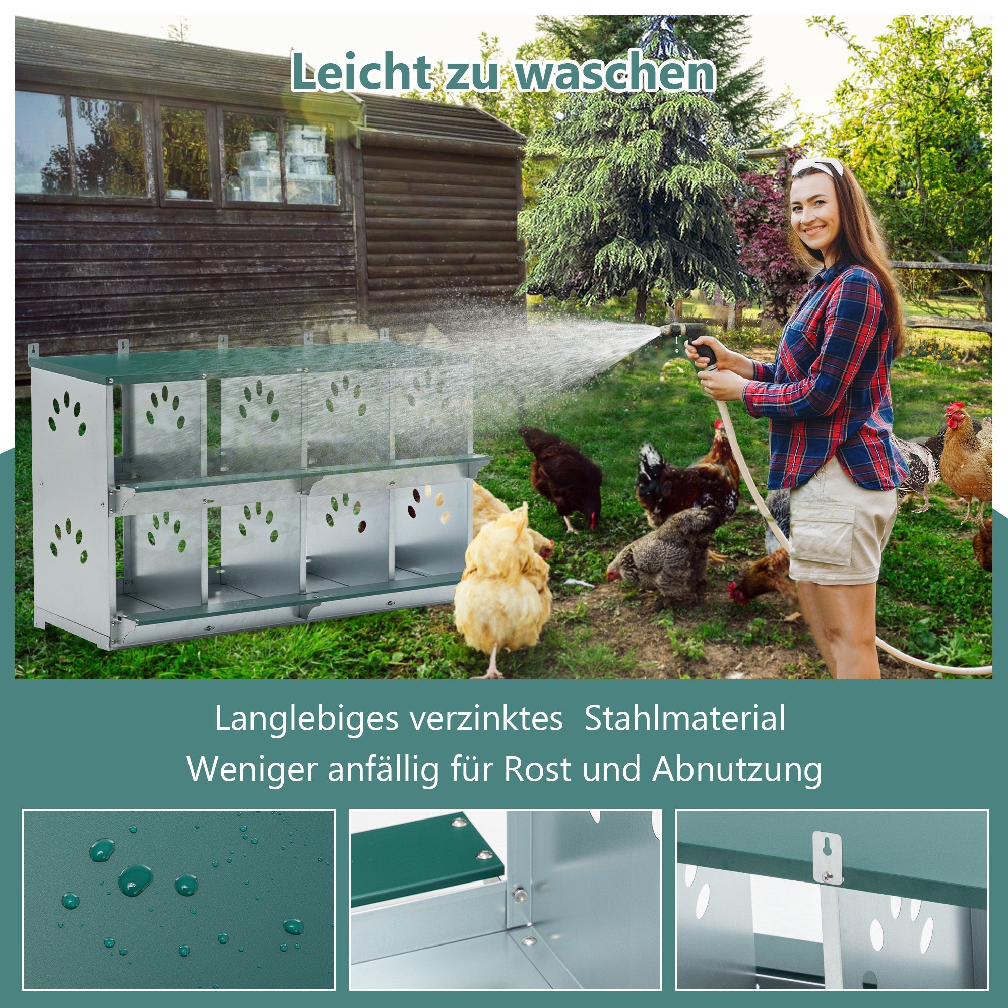 8-Compartment Chicken Nesting Boxes, Wall-Mounted Roll Away Design with Ventilation, Galvanized Steel