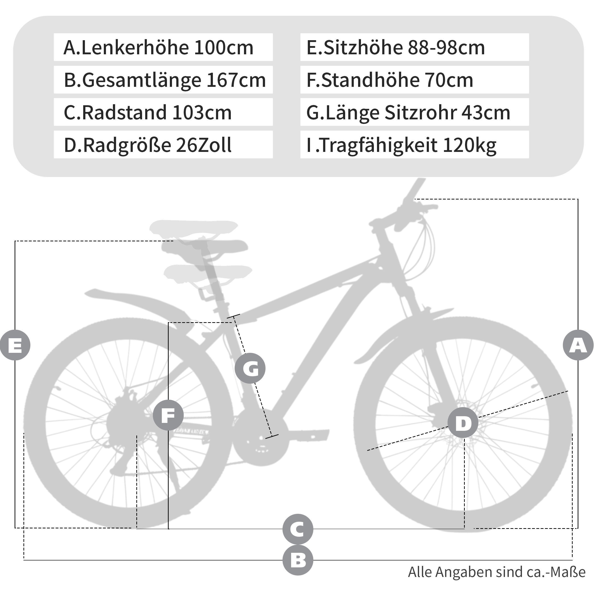 26-inch Hardtail Mountain Bike, 21-Speed Shimano Tourney with Disc Brakes, Steel