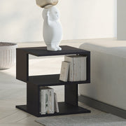 Side Table Square Modern 2-Tier Storage Shelves Black