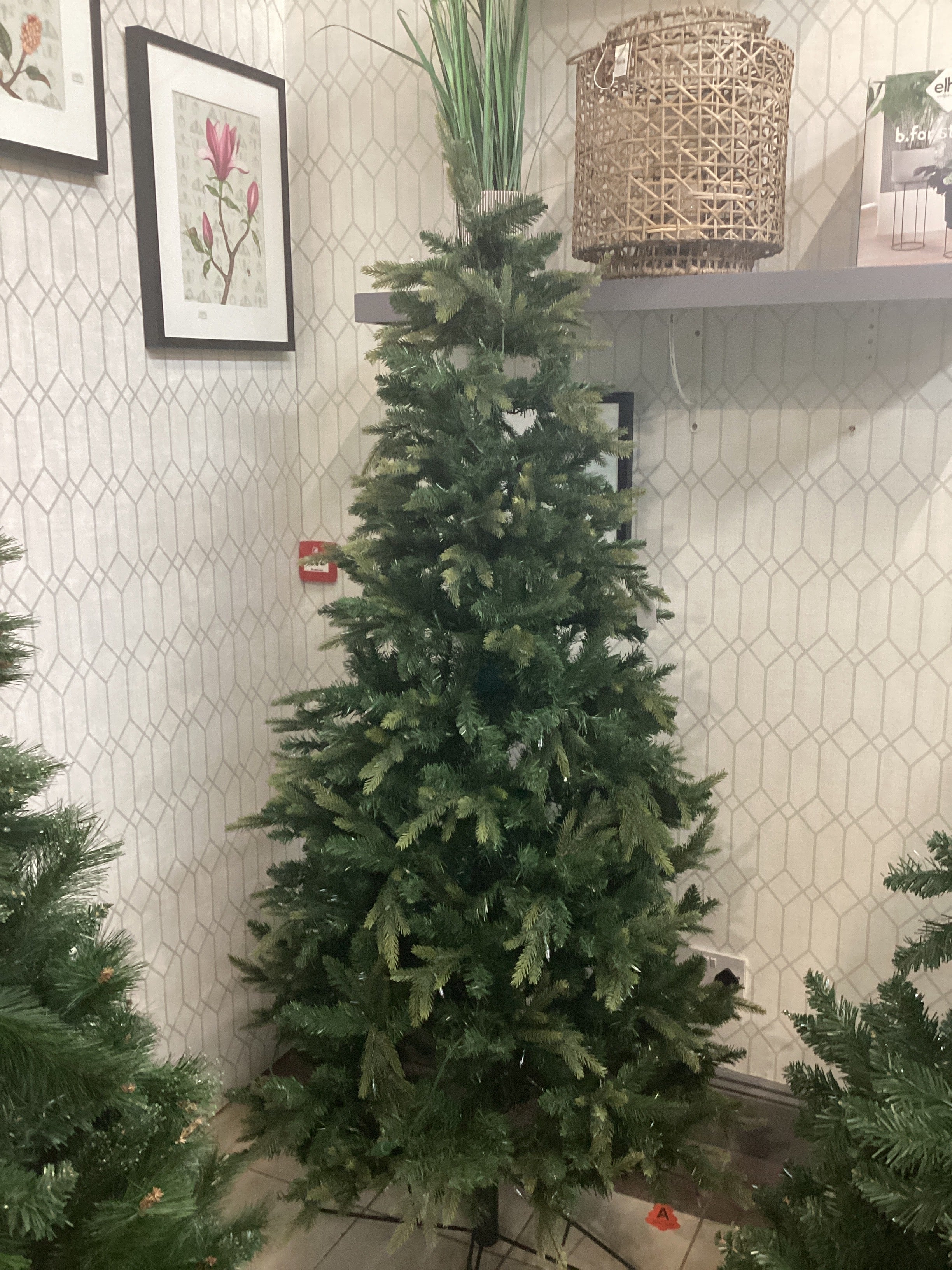 Malmo Prelit 6ft Christmas tree