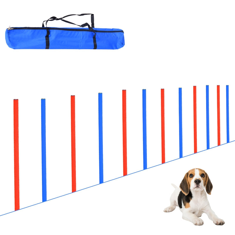 Pet Agility Training Equipment Dog Play Run Obedience Set