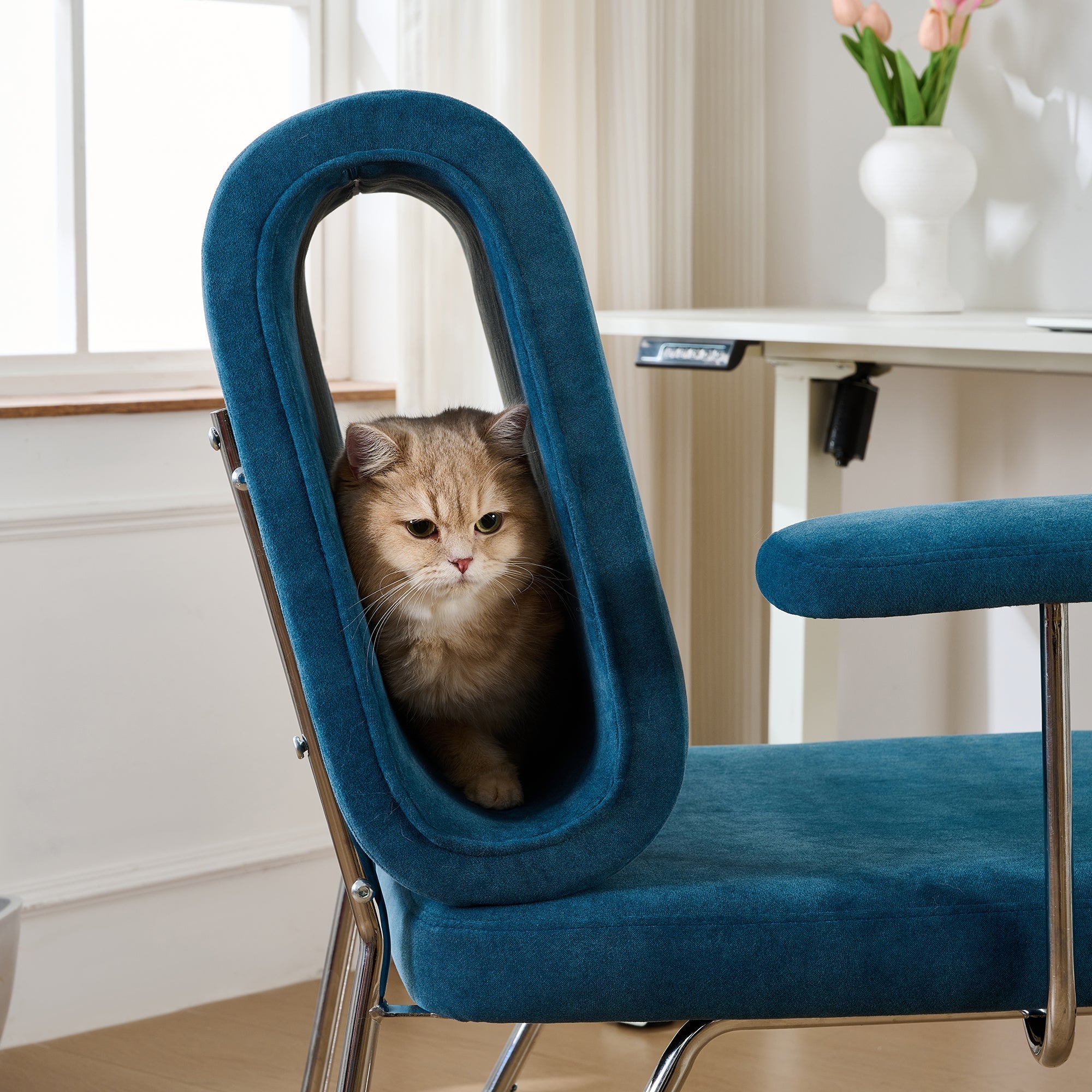 Office Chair with Integrated Cat Bed, Scratch-Resistant, Armchair