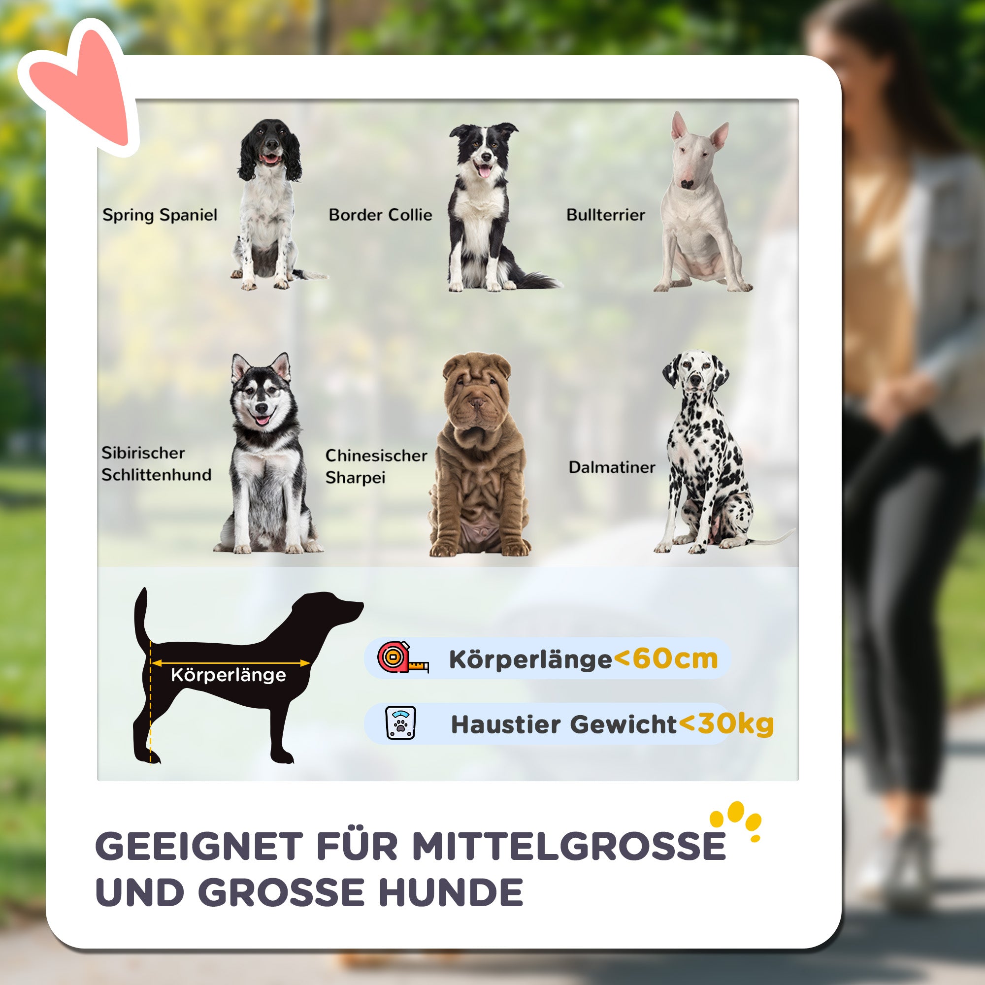 Hundebuggy, faltbar mit Kissen, Netzfenster, Oxford-Gewebe, Dunkelgrau