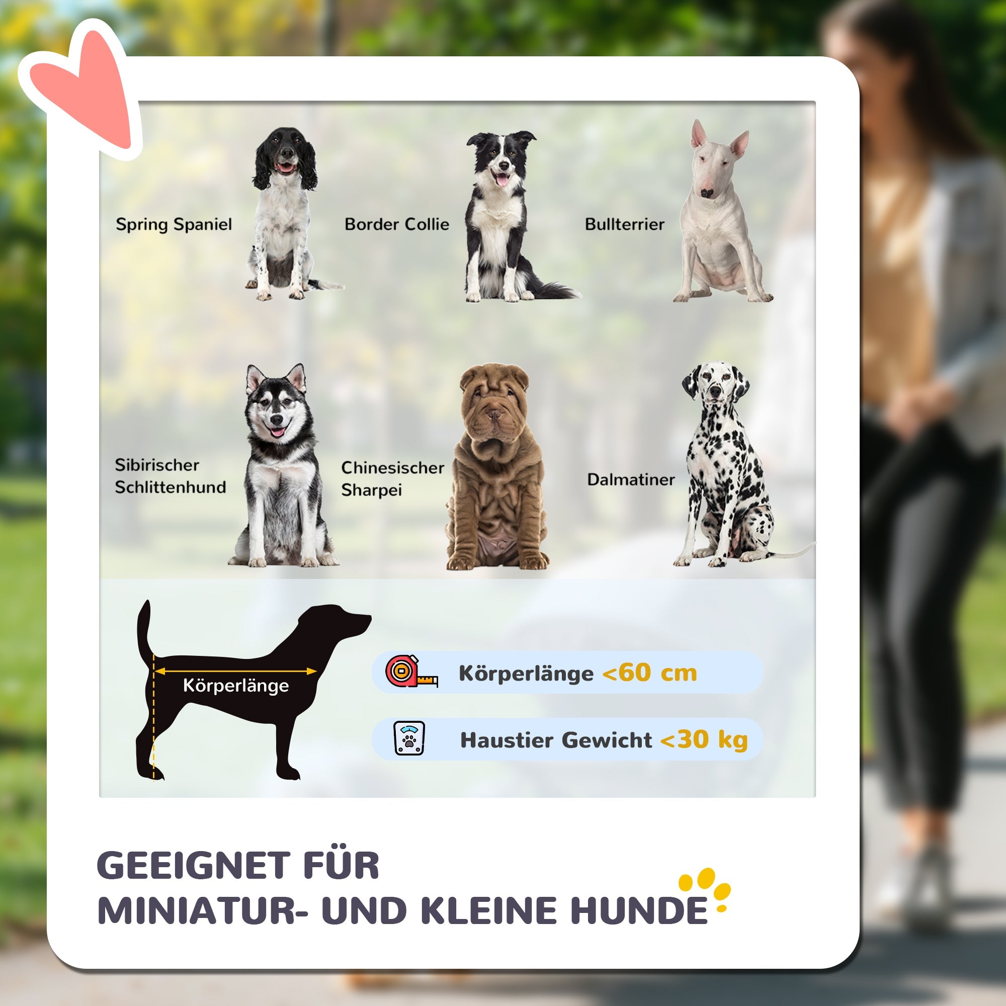 Hundebuggy, faltbar, 30 kg, Netzfenster, Grau Oxford