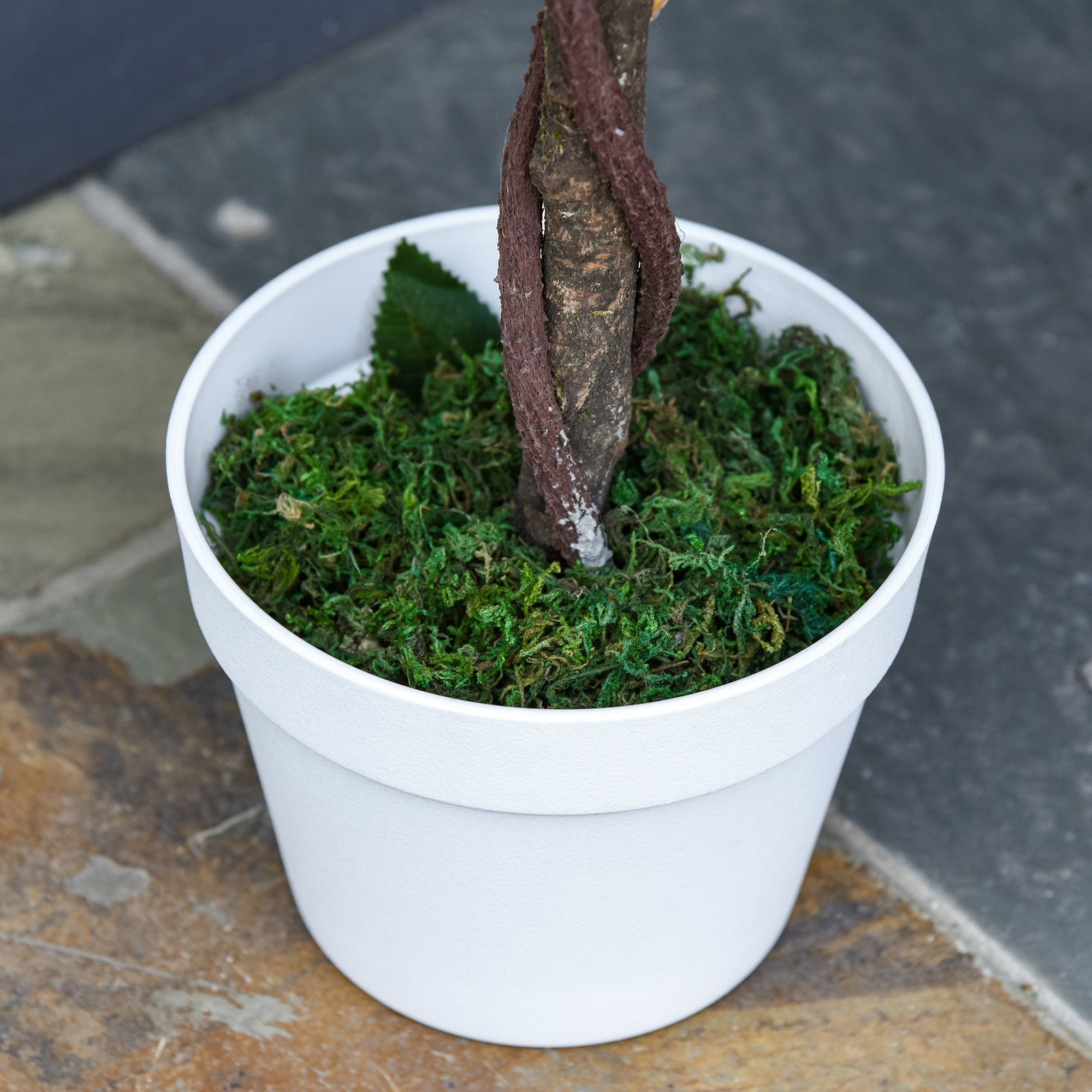 Artificial Rose Plant, Large 90 cm Tree in Pot, Plastic