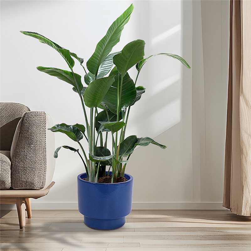 3-Piece Plant Pot Set, Handmade Sizes Ø 38.1/30.5/22.9 cm, Blue Glazed Ceramic