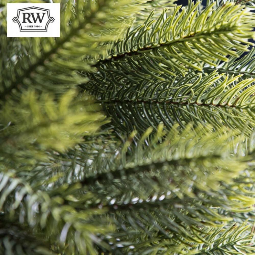 12ft Real Feel Scandi Artificial Christmas Tree - Elite 3.6m - Rathwood Store