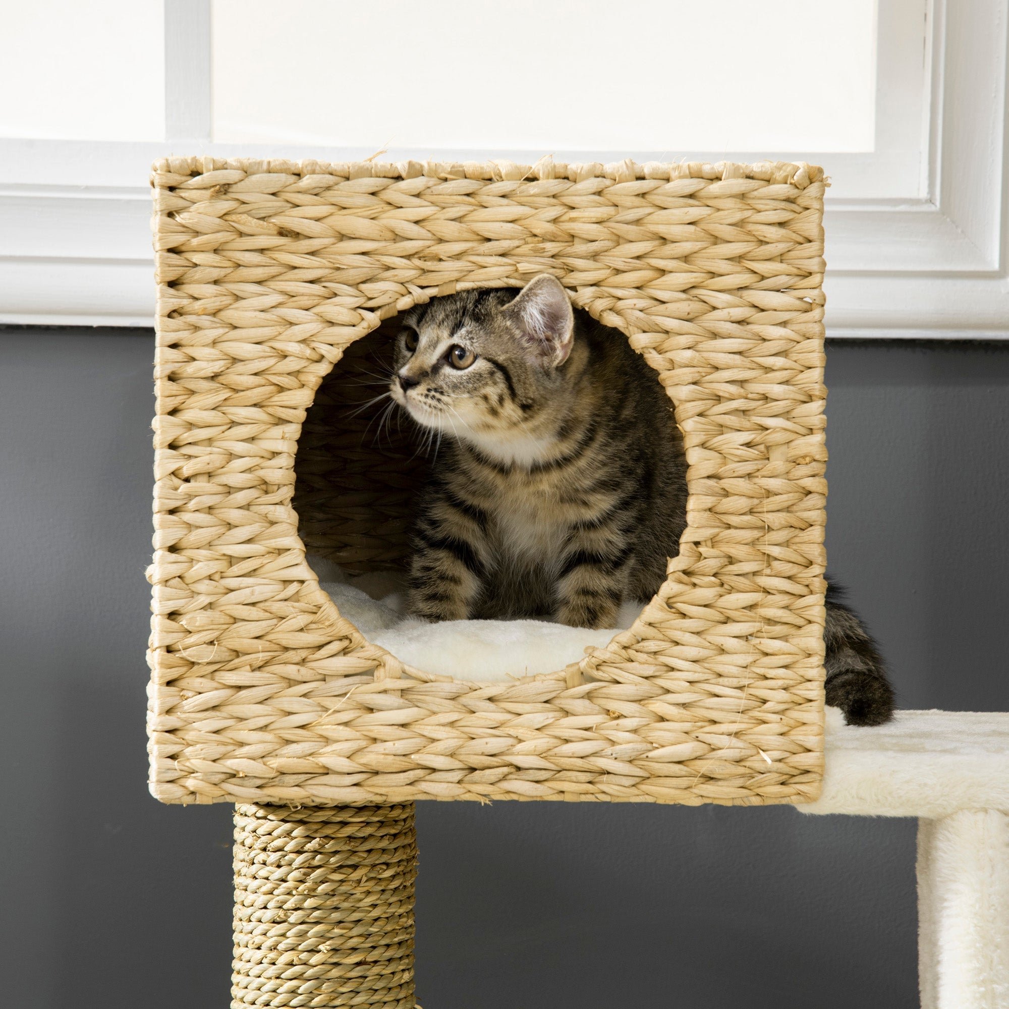 Katzenkratzbaum, 100,5 cm hoch, Katzenhöhle, Bett, Treppe, Sisal, Natur