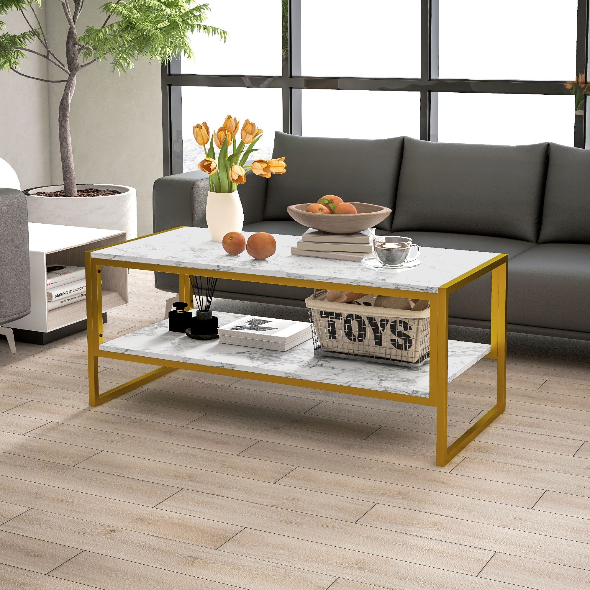 Coffee Table, Two-Tier Centre with Storage Shelf, Metal Frame, White