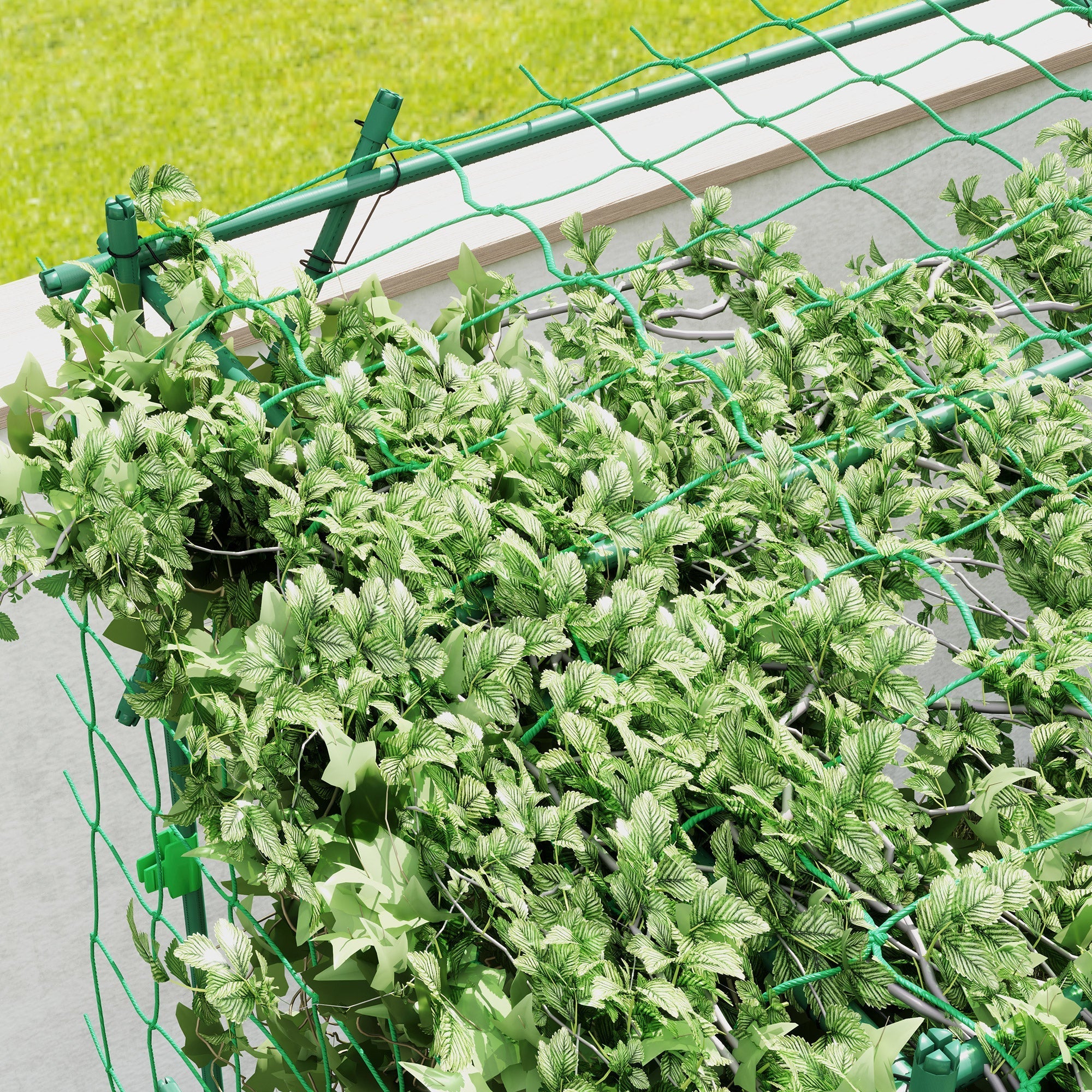 Stainless Steel Trellis Climbing Aid Triangular Support 223x223x223 cm, Green