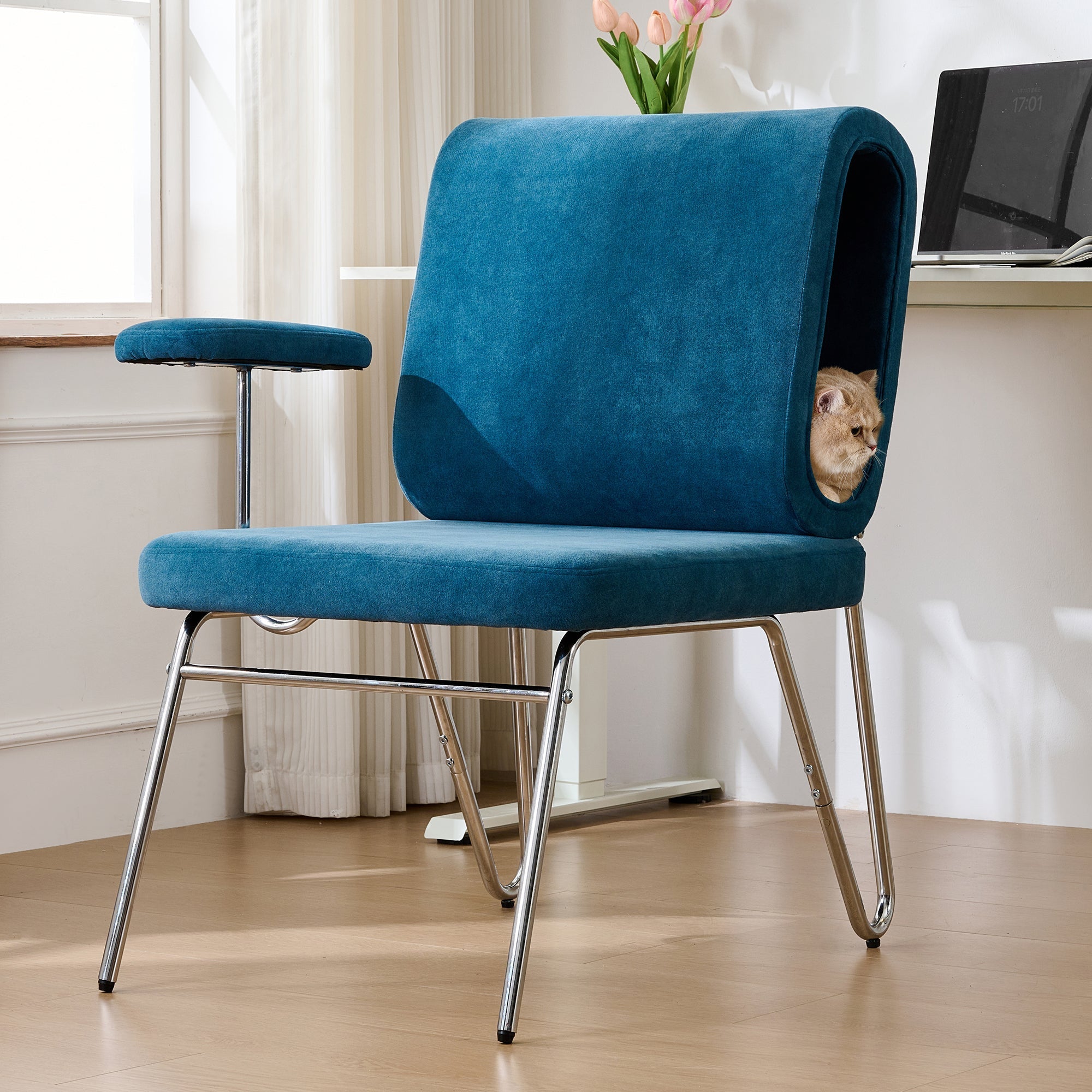 Office Chair with Integrated Cat Bed, Scratch-Resistant, Armchair