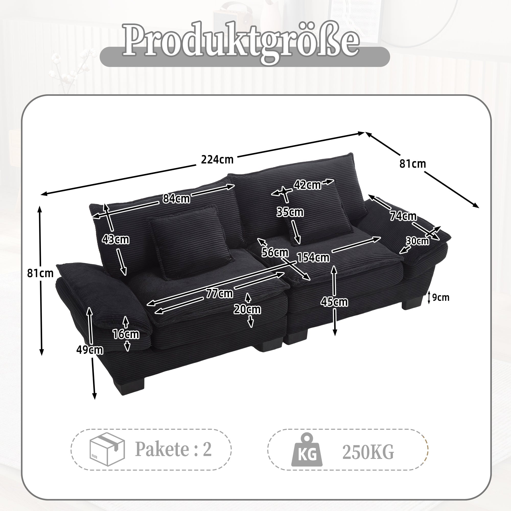 Double Sofa, Modern Simple Feather Bed, Black