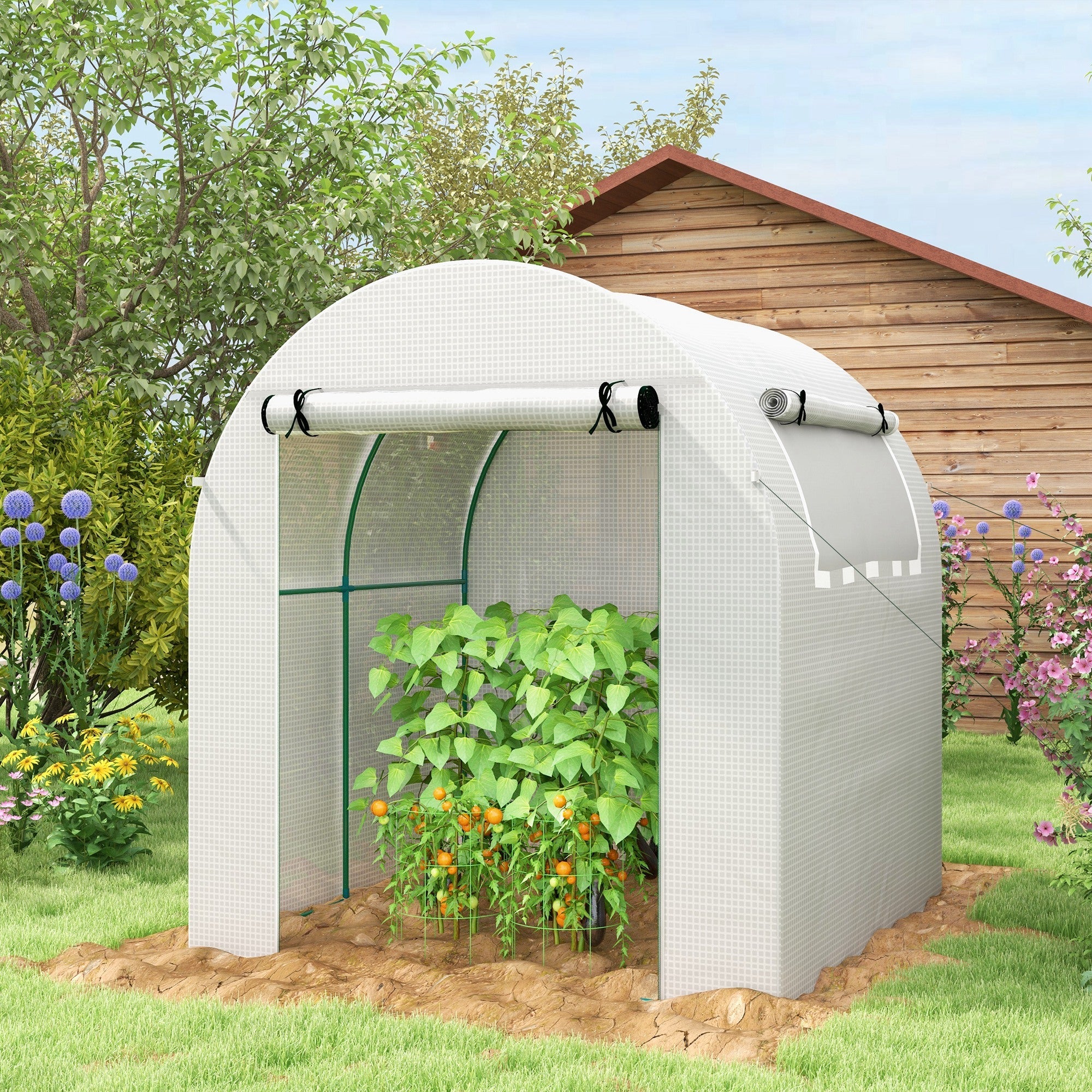 Walk in Polytunnel Greenhouse w/ Roll-up Door & Window, 1.8x1.8x2m, White