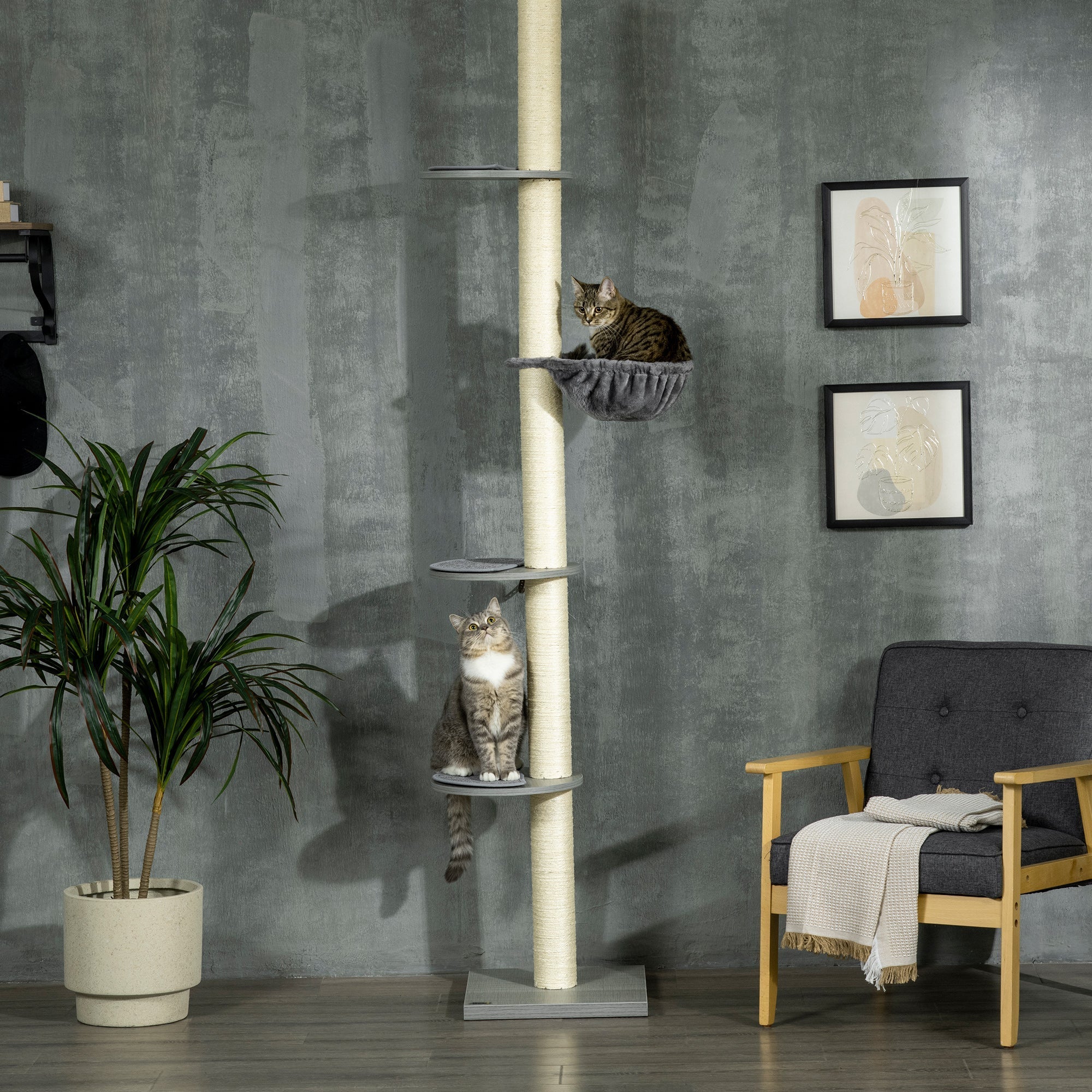 Cat Tree, Ceiling Height Adjustable with Scratching Posts, Grey Cream White