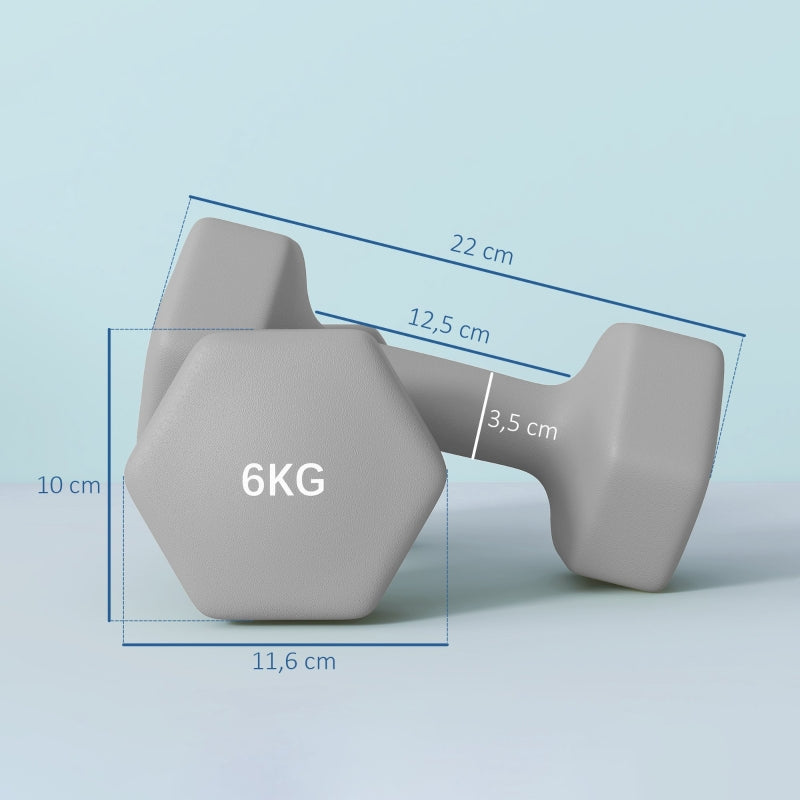 Dumbbell Set 2 x 6 kg Hexagonal Non-Slip - Grey