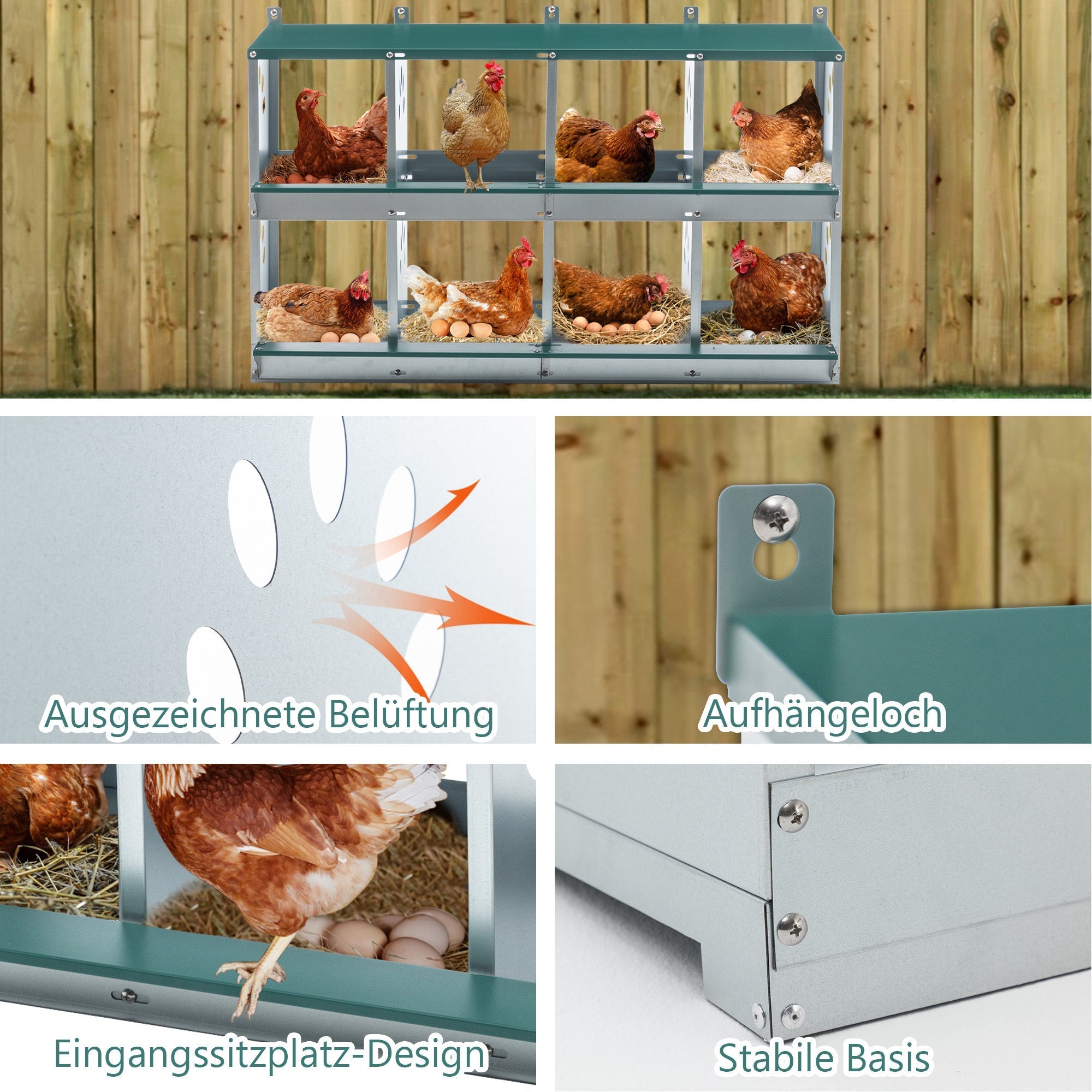 8-Compartment Chicken Nesting Boxes, Wall-Mounted Roll Away Design with Ventilation, Galvanized Steel
