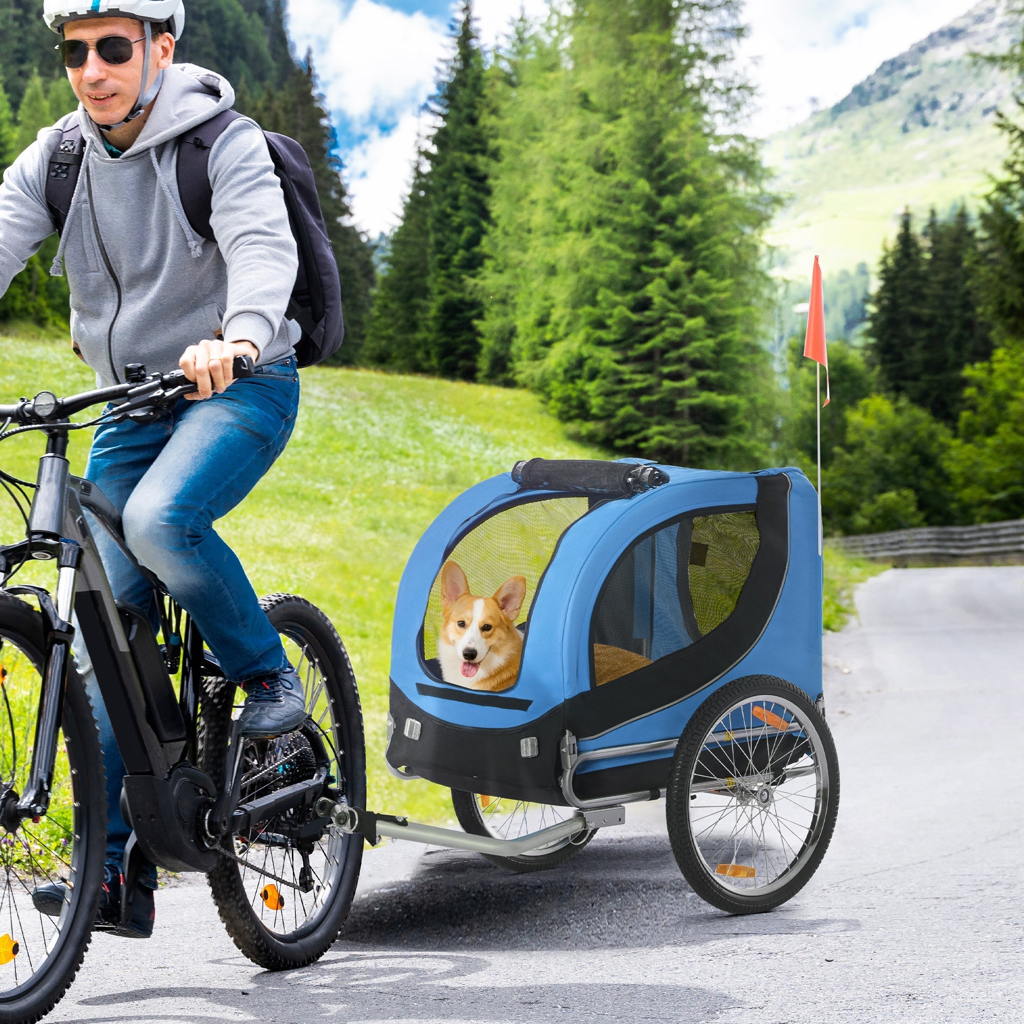 Hundeanhänger, Fahrradtransport, Blau+Schwarz