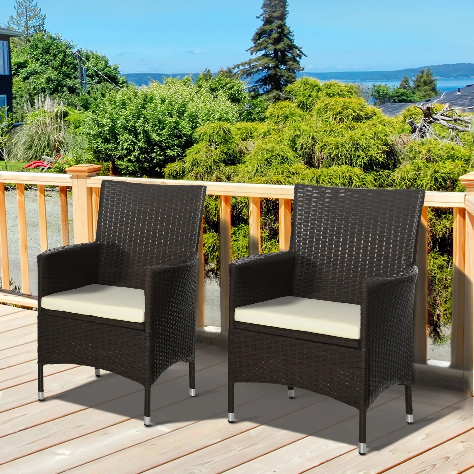 2 Pieces Outdoor Dining Chairs Set with Cushion, High Back PE Rattan Coffee
