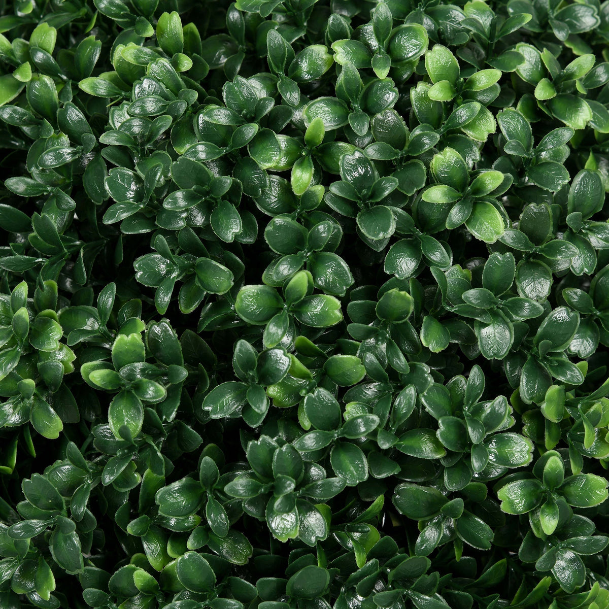 Artificial Boxwood Shrubs Set of 2 Large 70cm UV Protection - Realistic Green