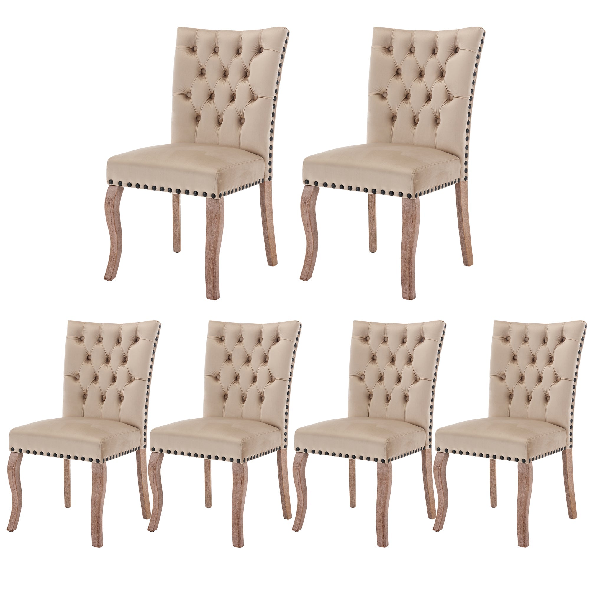 Dining Chair (Set of 6) Upholstered Door Knocker Back Nailhead Trim Solid Wood Legs Light Camel Velvet