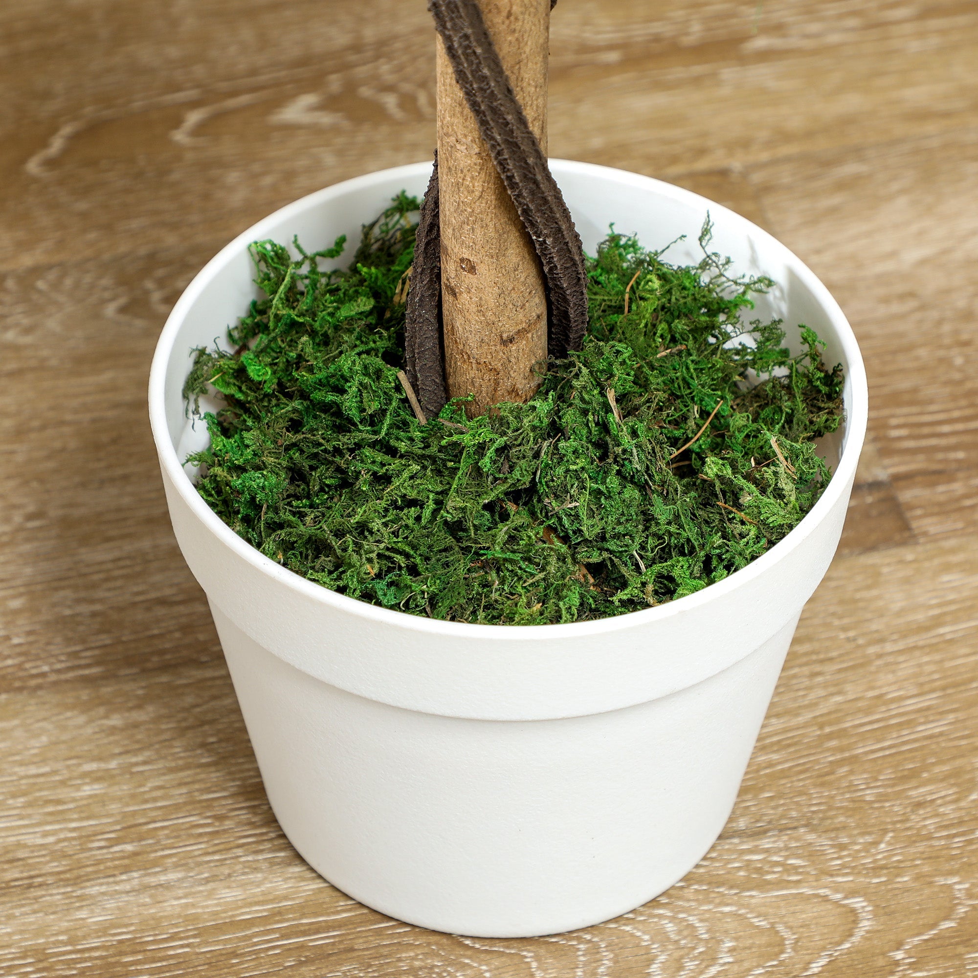 Faux Rose Trees, Set of Two - White