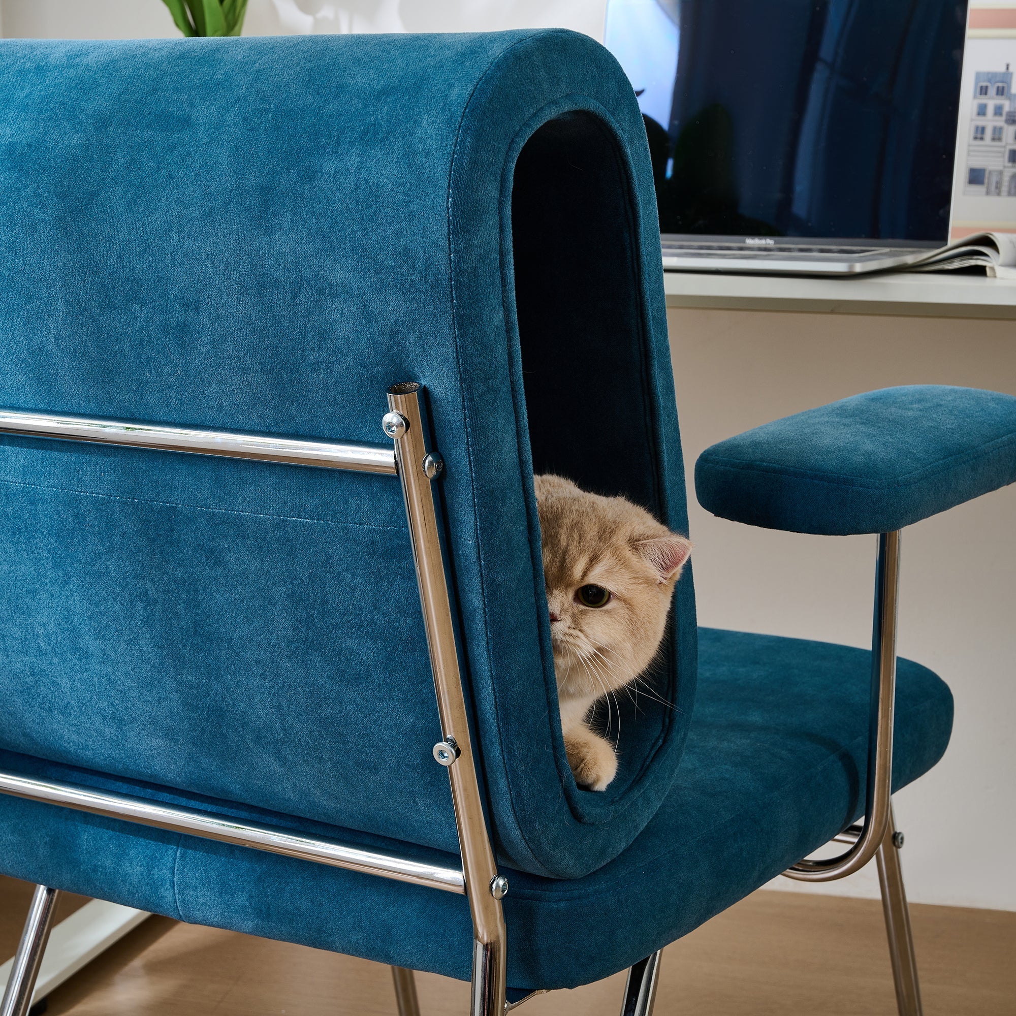 Office Chair with Integrated Cat Bed, Scratch-Resistant, Armchair