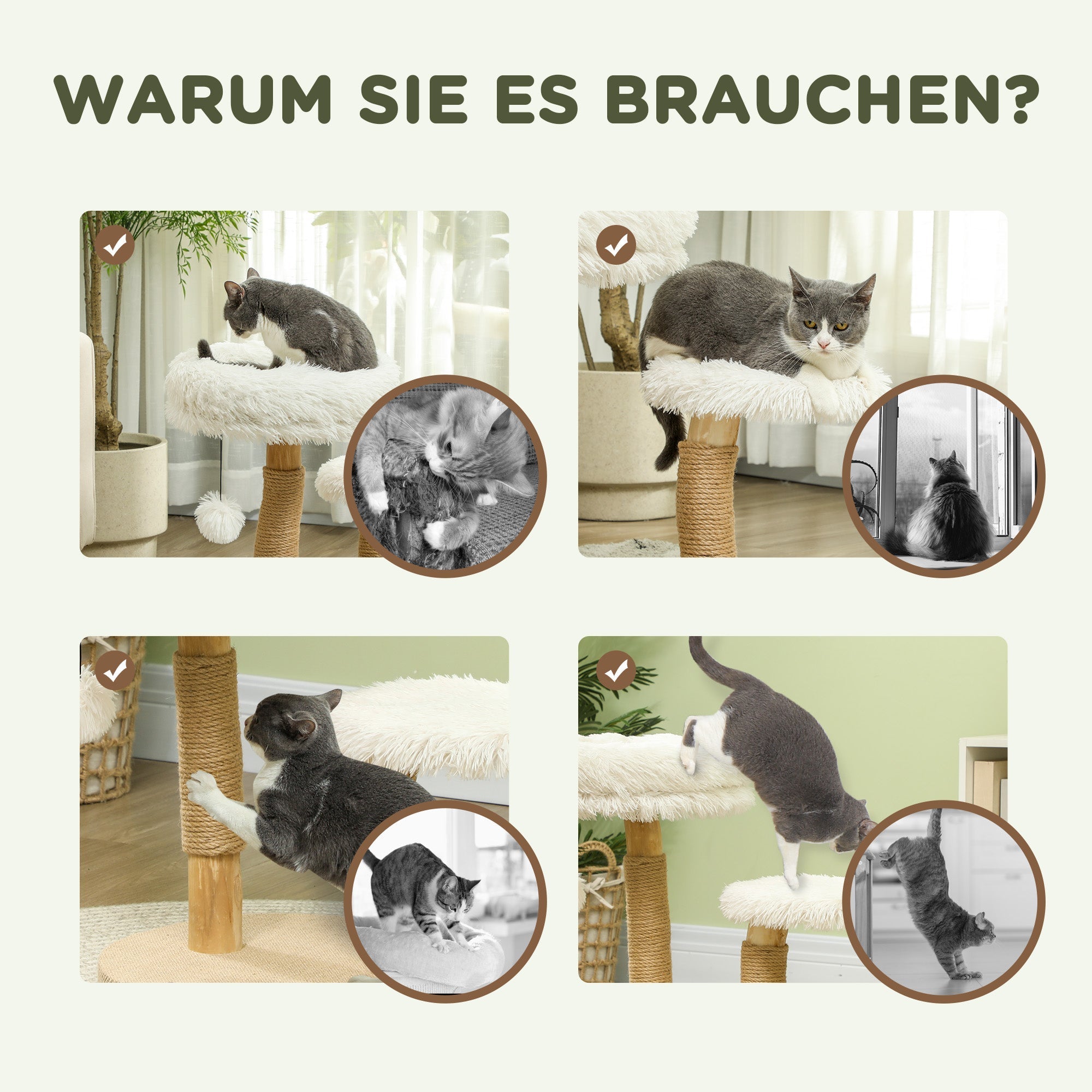 Cat Tree, Play Ball, Beds, Scratching Board, Pearwood White