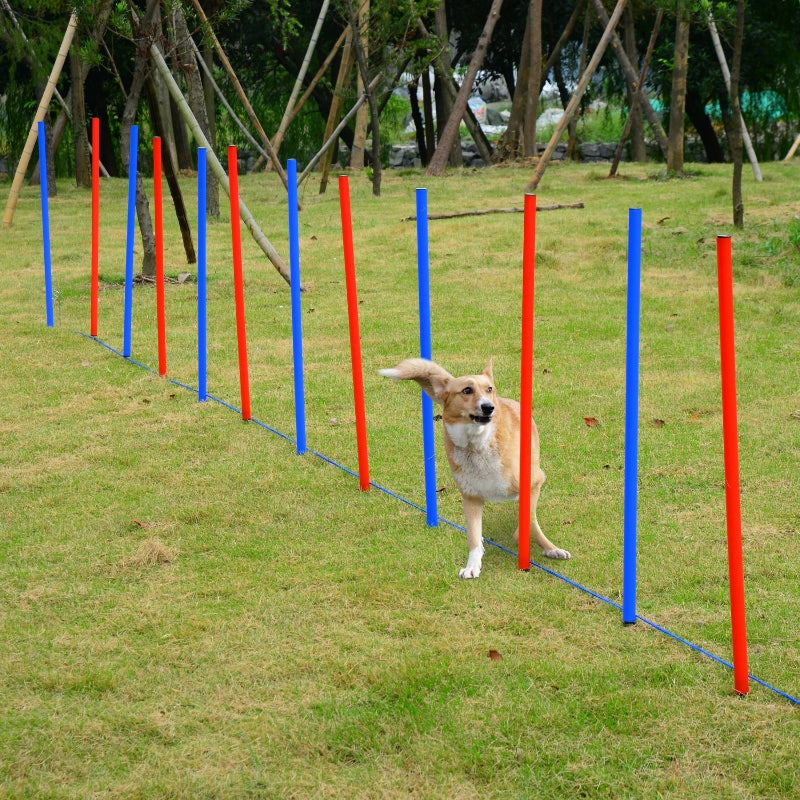 Dog Agility & Training