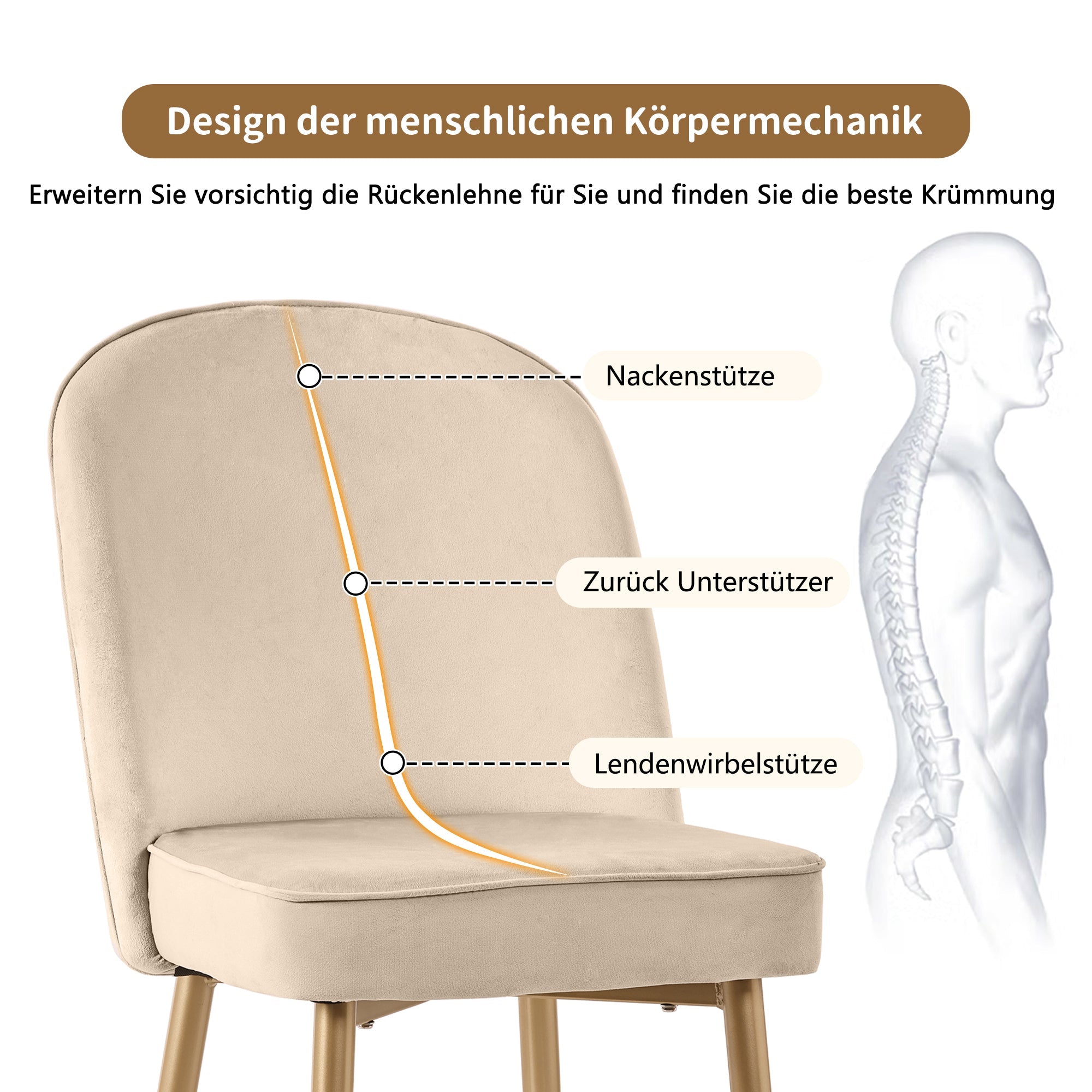 2 Dining Chairs Modern Comfortable Gold Metal Legs Beige Velvet