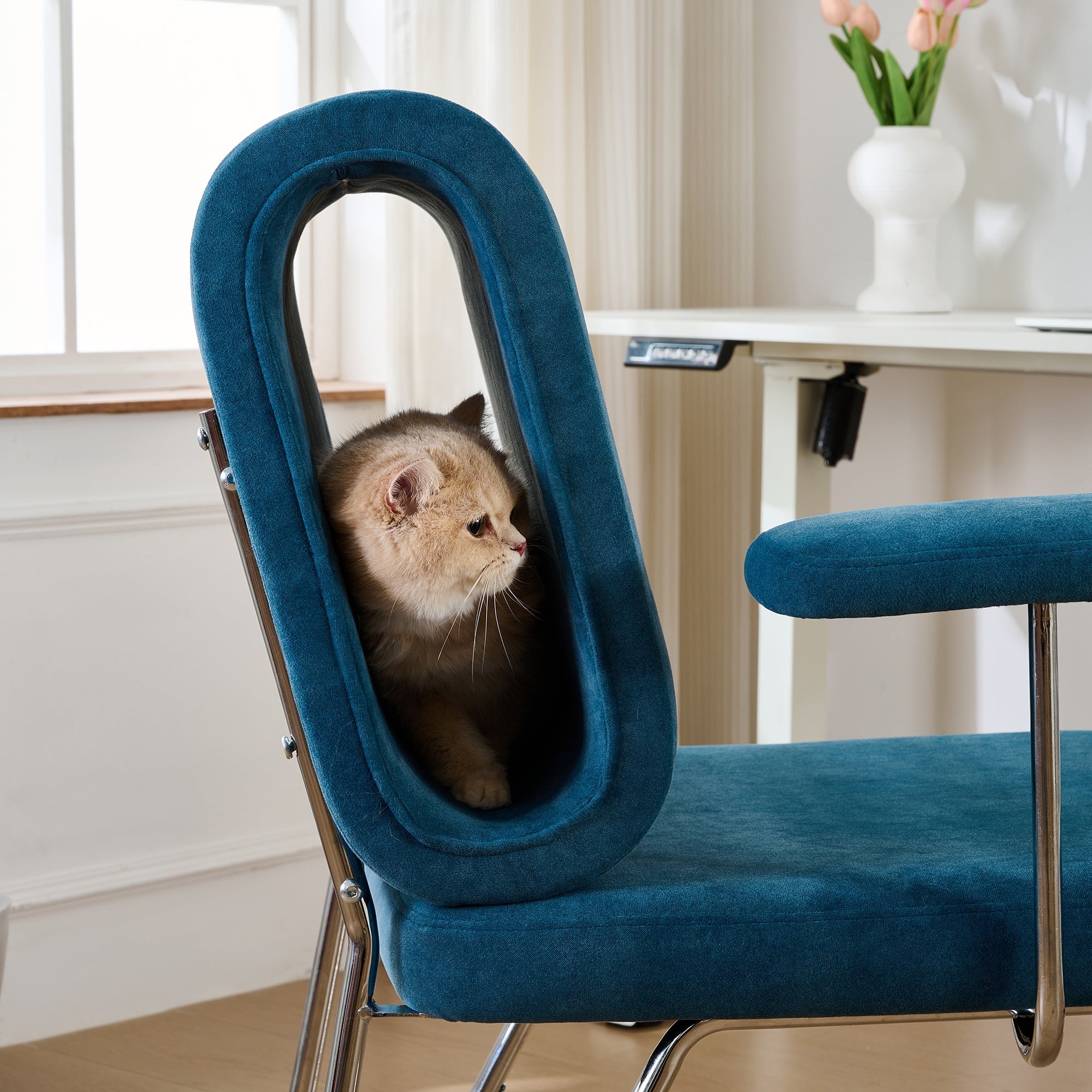 Office Chair with Integrated Cat Bed, Scratch-Resistant, Armchair
