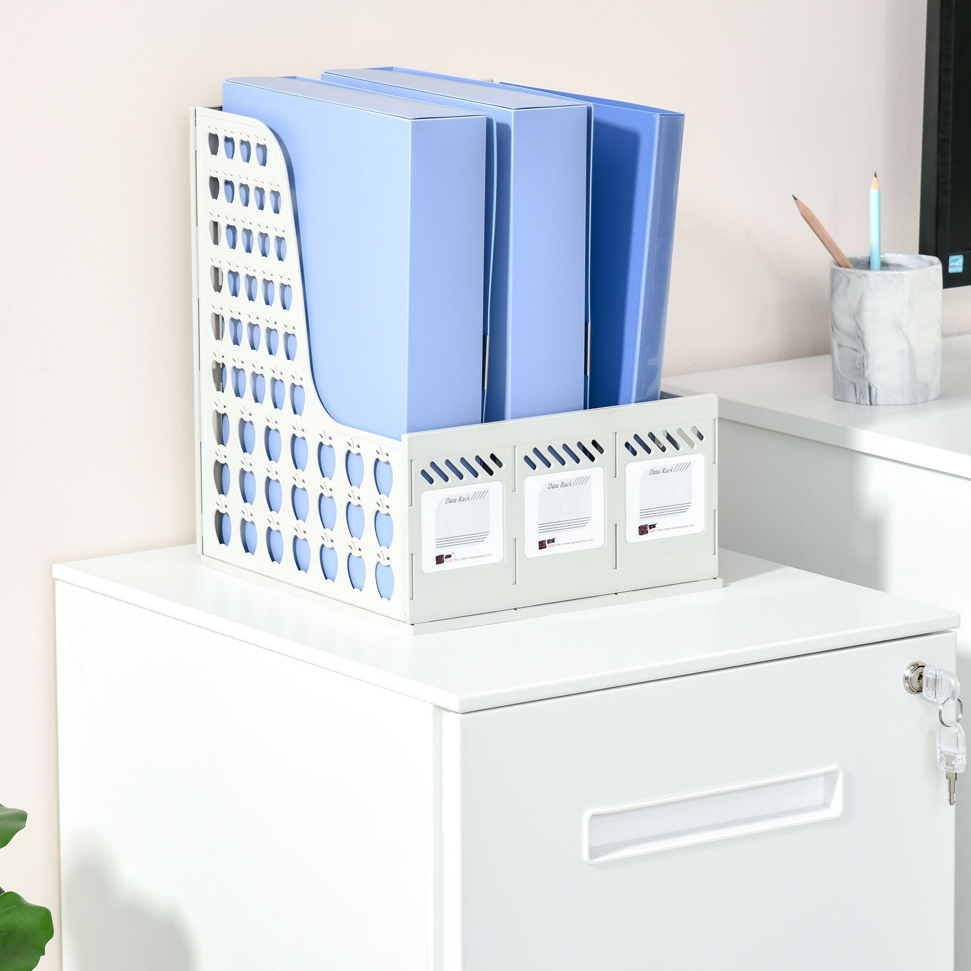 Vinsetto Mobile Filing Cabinet 2 Drawers Lockable A4 Steel