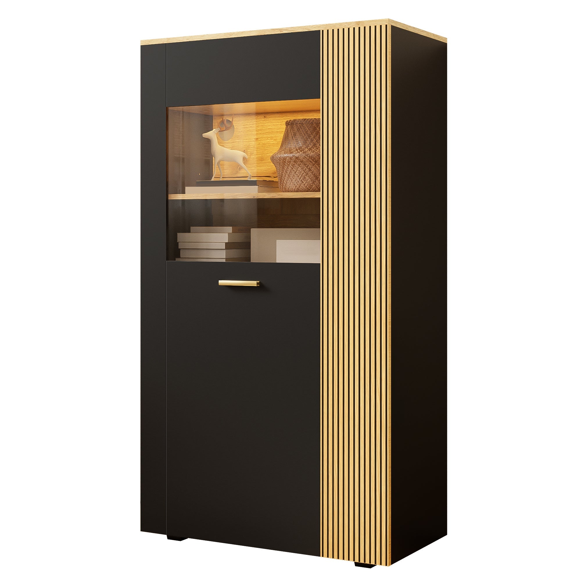 Modern Storage Cabinet, 16-Color LED Lights, Adjustable Shelves, Cable Management, PB with Glass Doors