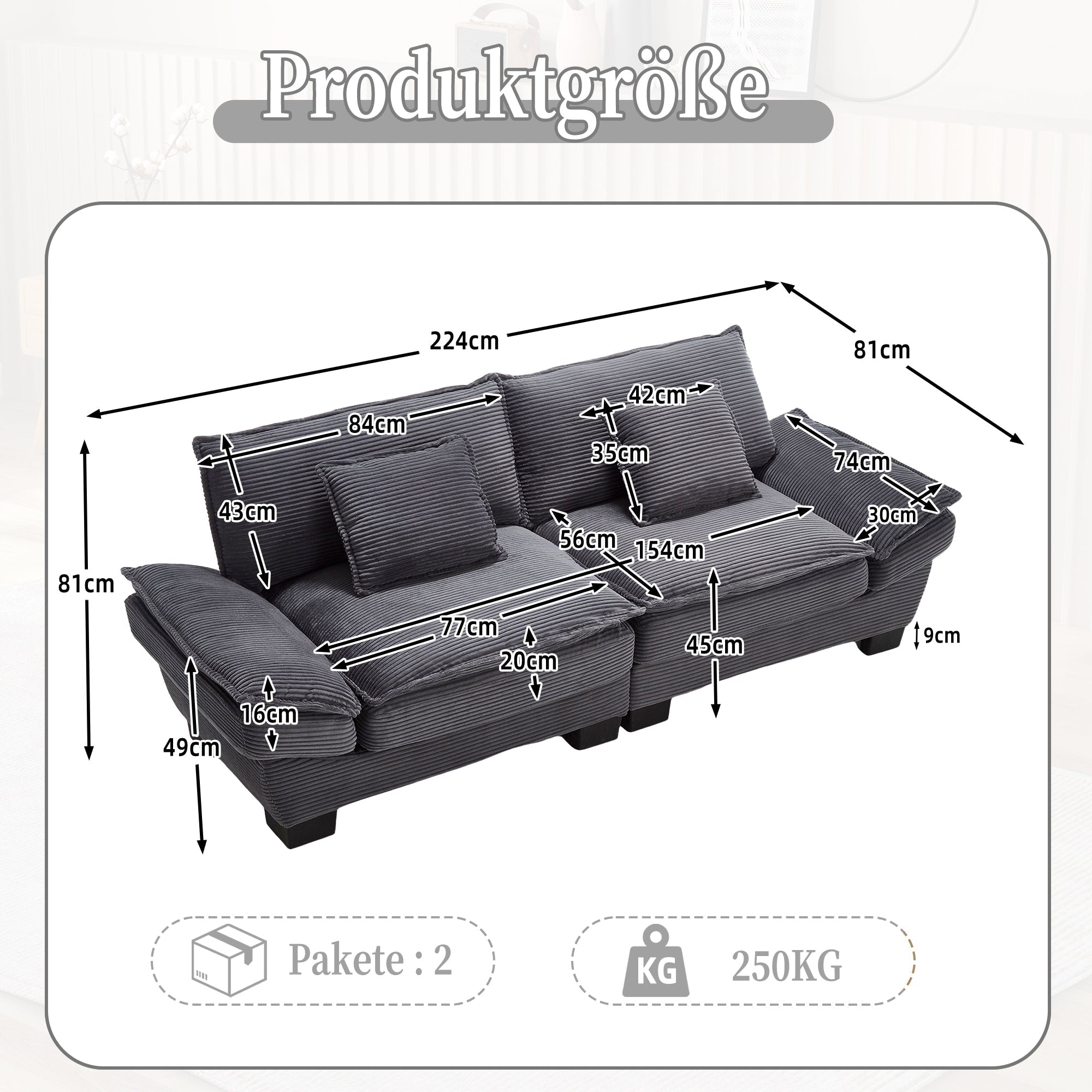 Double Sofa, Modern Simple Feather Bed Cozy Spacious, Dark Grey