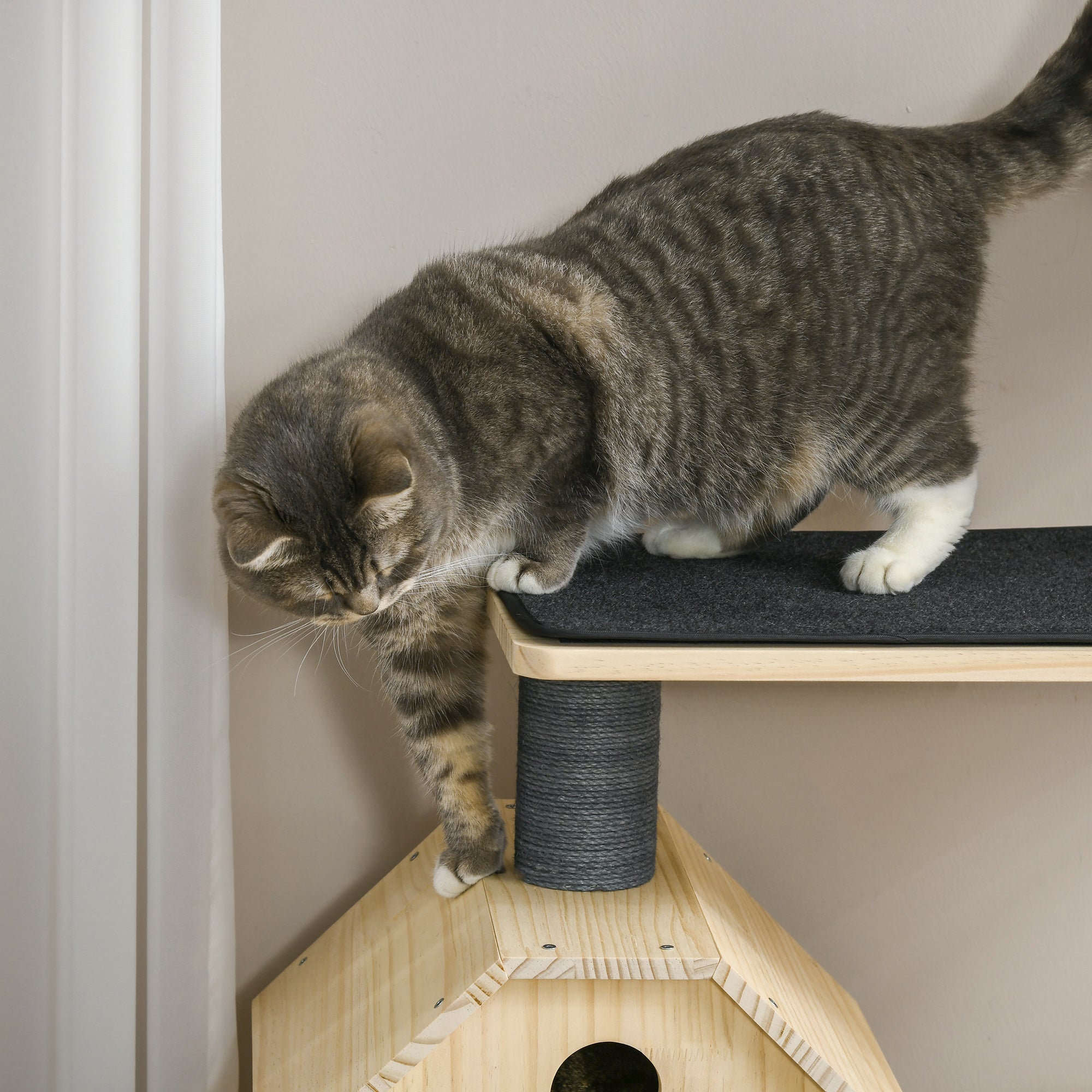 Cat Tree with Exercise Wheel 4 Levels Sisal Posts, Pine Wood