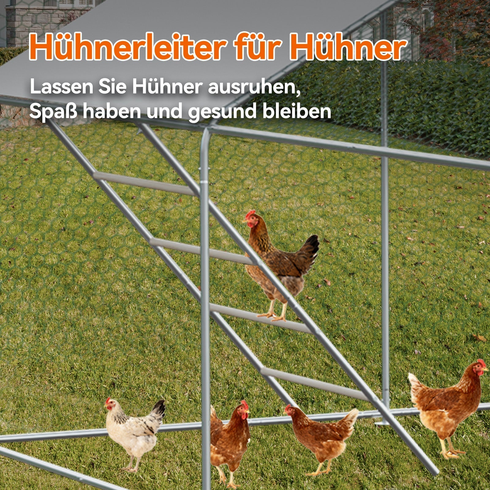 Chicken Run 3x6x2m with Safety Lock & Waterproof PE Cover - Metal