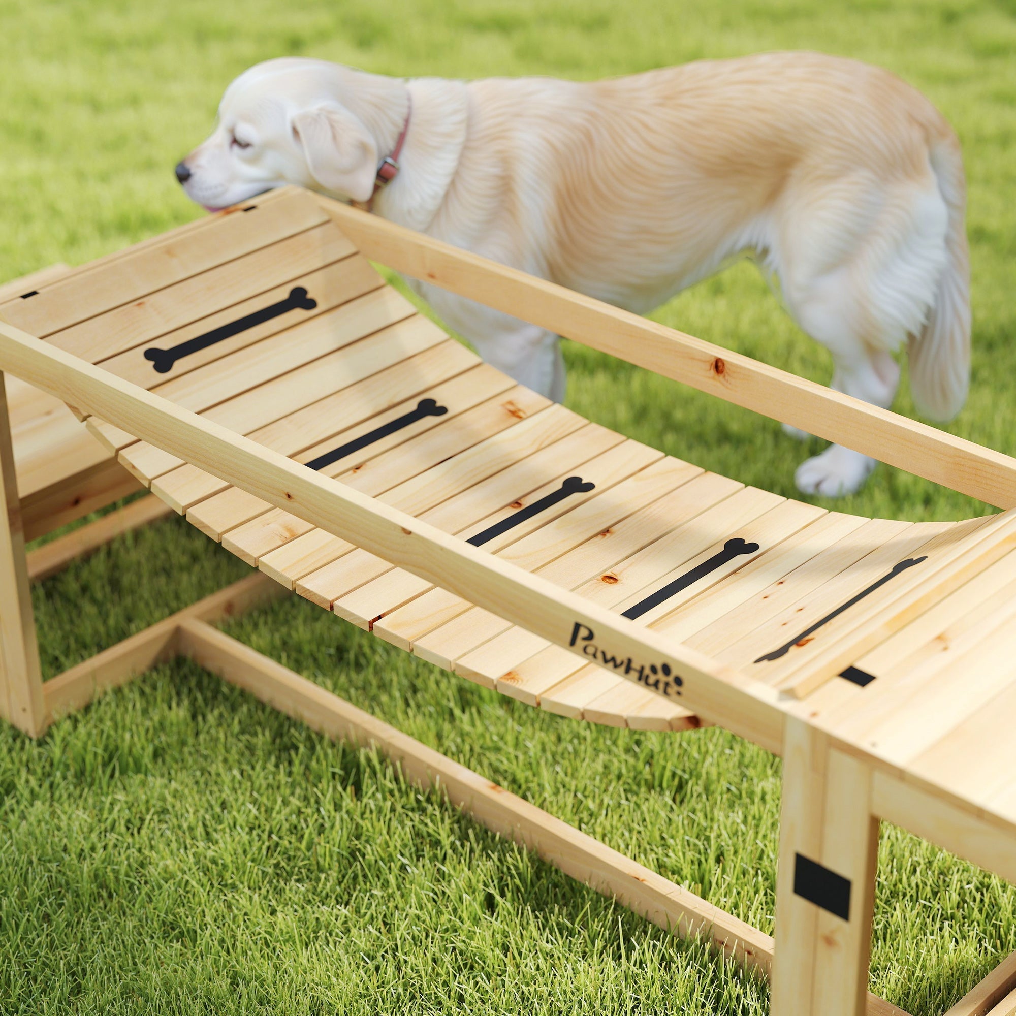 Hunde-Agility-Set, 4-teiliges Training, Tannenholz