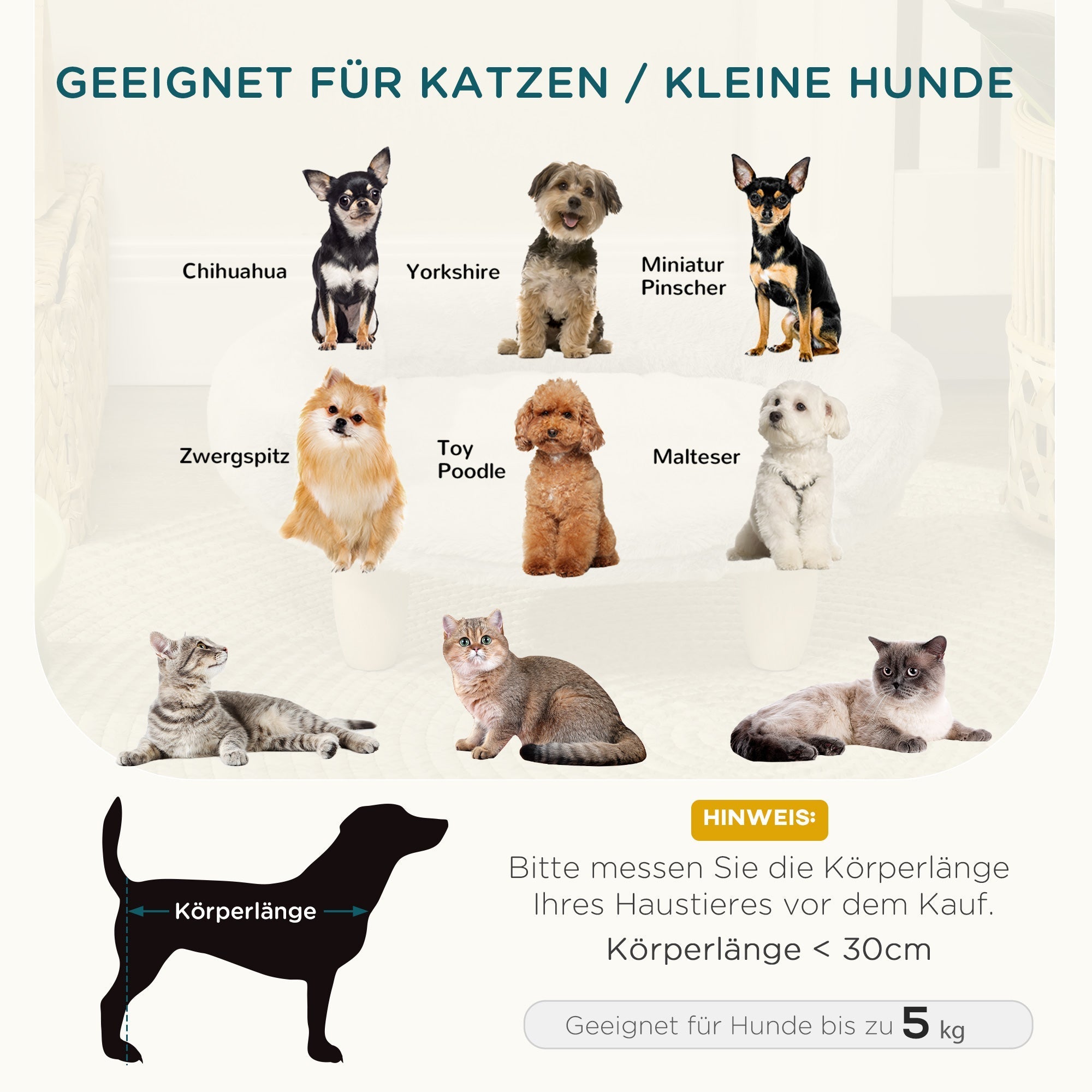 Gemütliches Haustiersofa, erhöhtes Design, Hund Katze, Flanell, Cremefarben
