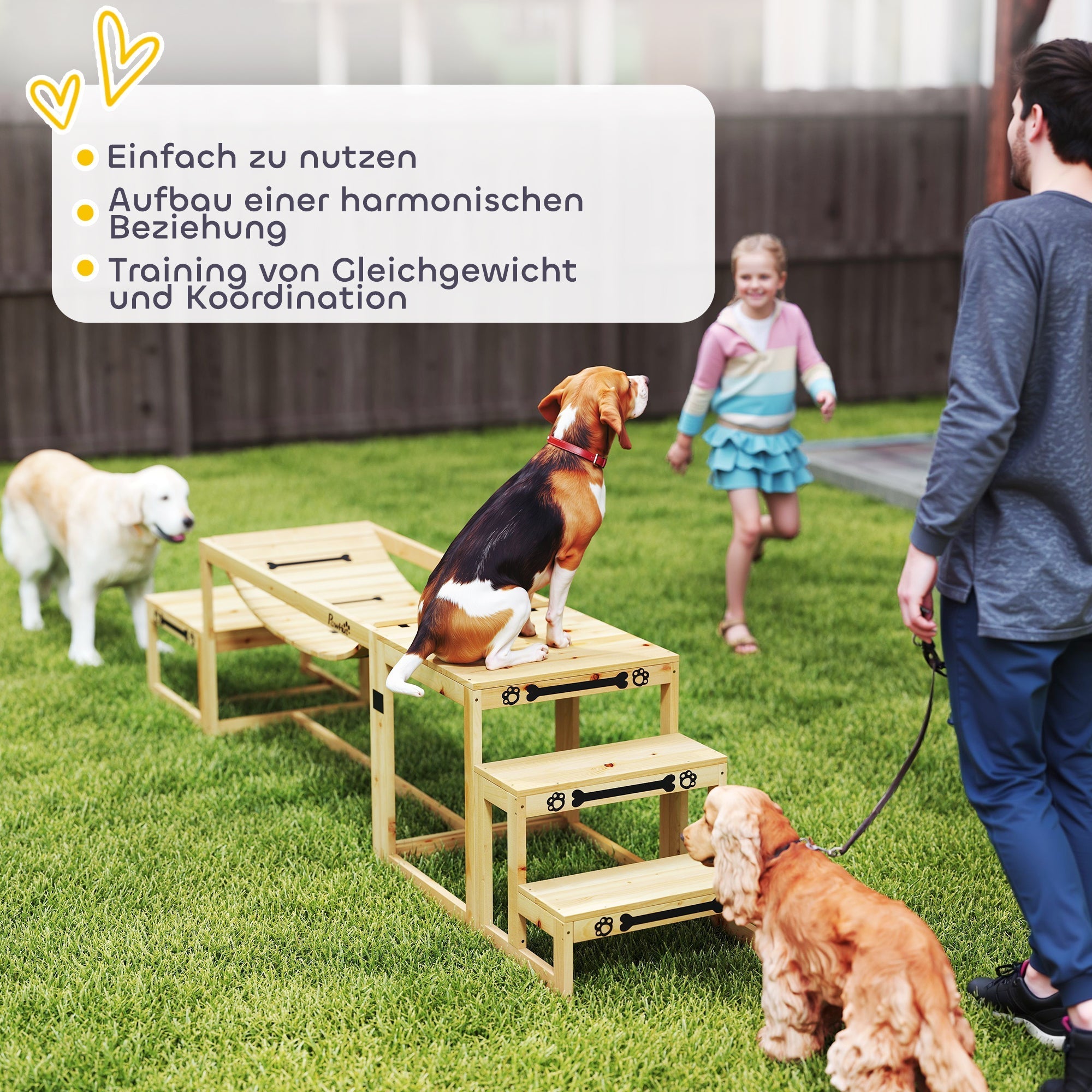 Hunde-Agility-Set, 4-teiliges Training, Tannenholz