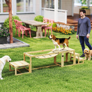 Hunde-Agility-Set, 4-teiliges Training, Tannenholz