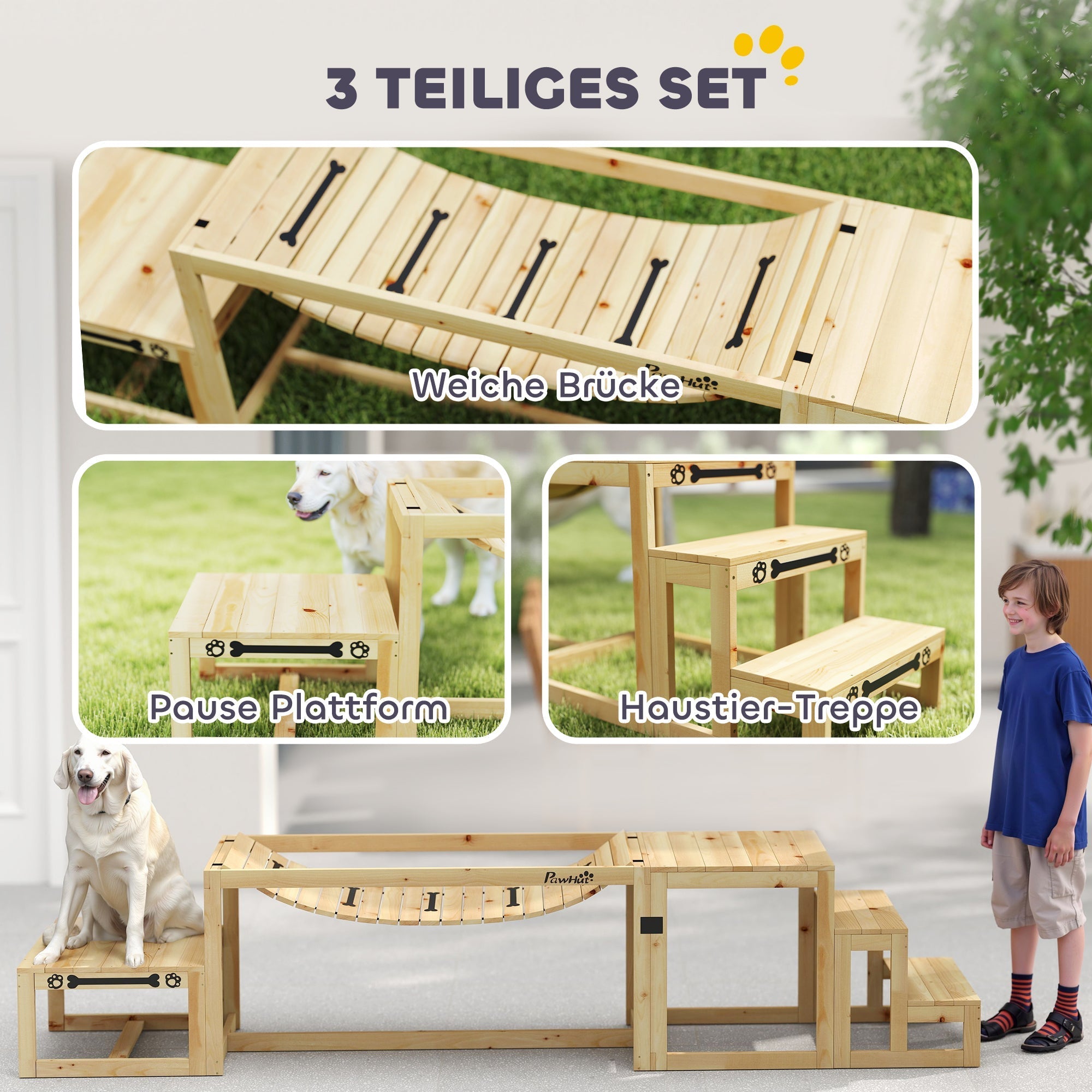 Hunde-Agility-Set, 4-teiliges Training, Tannenholz