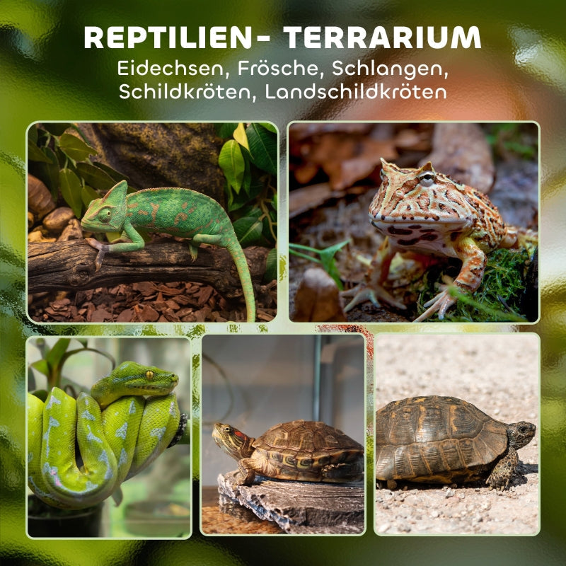 Glass Terrarium for Reptiles, Raised Waterproof Base, Button Lock, Glass