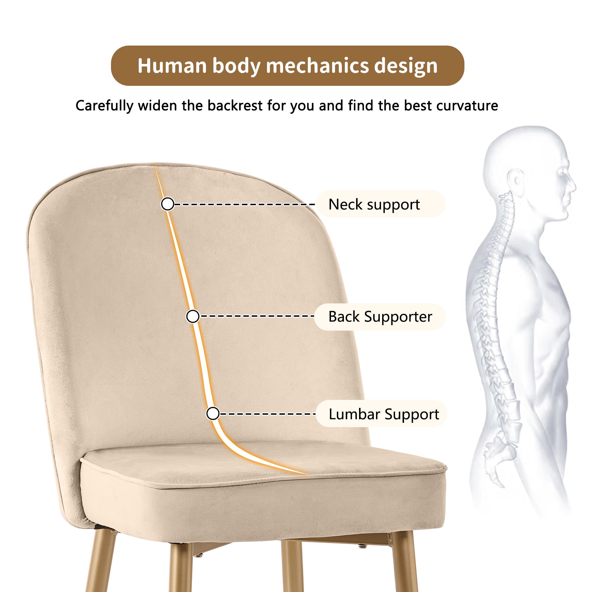 2 Dining Chairs Modern Comfortable Gold Metal Legs Beige Velvet