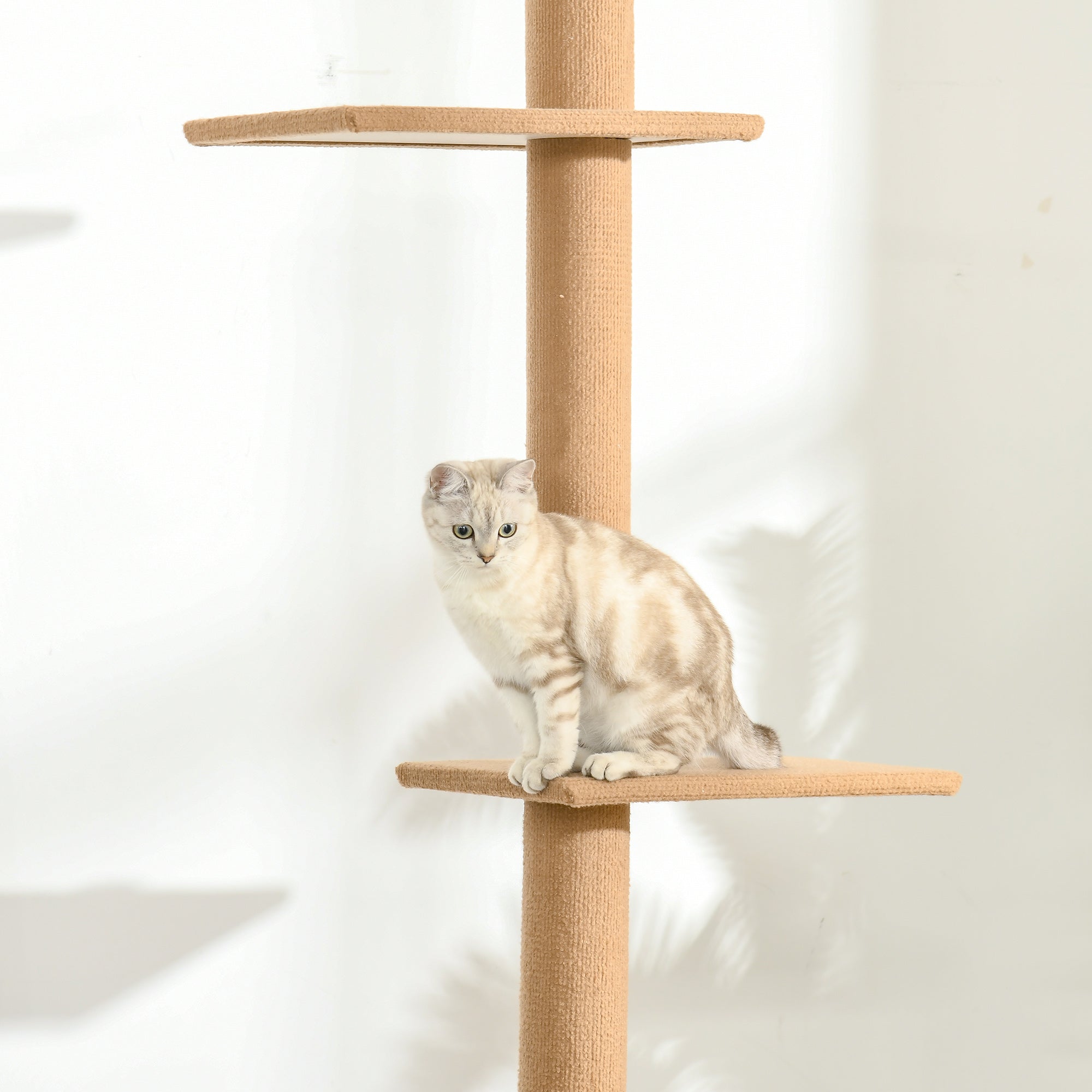 Kratzbaum, höhenverstellbarer Spielbaum für Katzen, Hellbraun