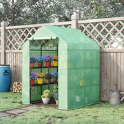 Walk-in Greenhouse, 8 Shelves for Tomatoes Optimal Plant Care, Steel & PE Plastic, Green